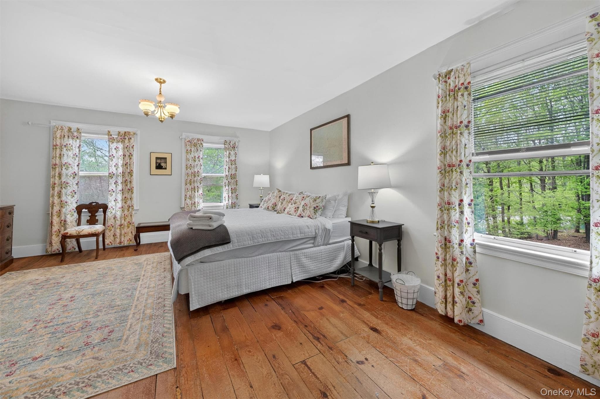 219 Husdon Street thumbnail 28