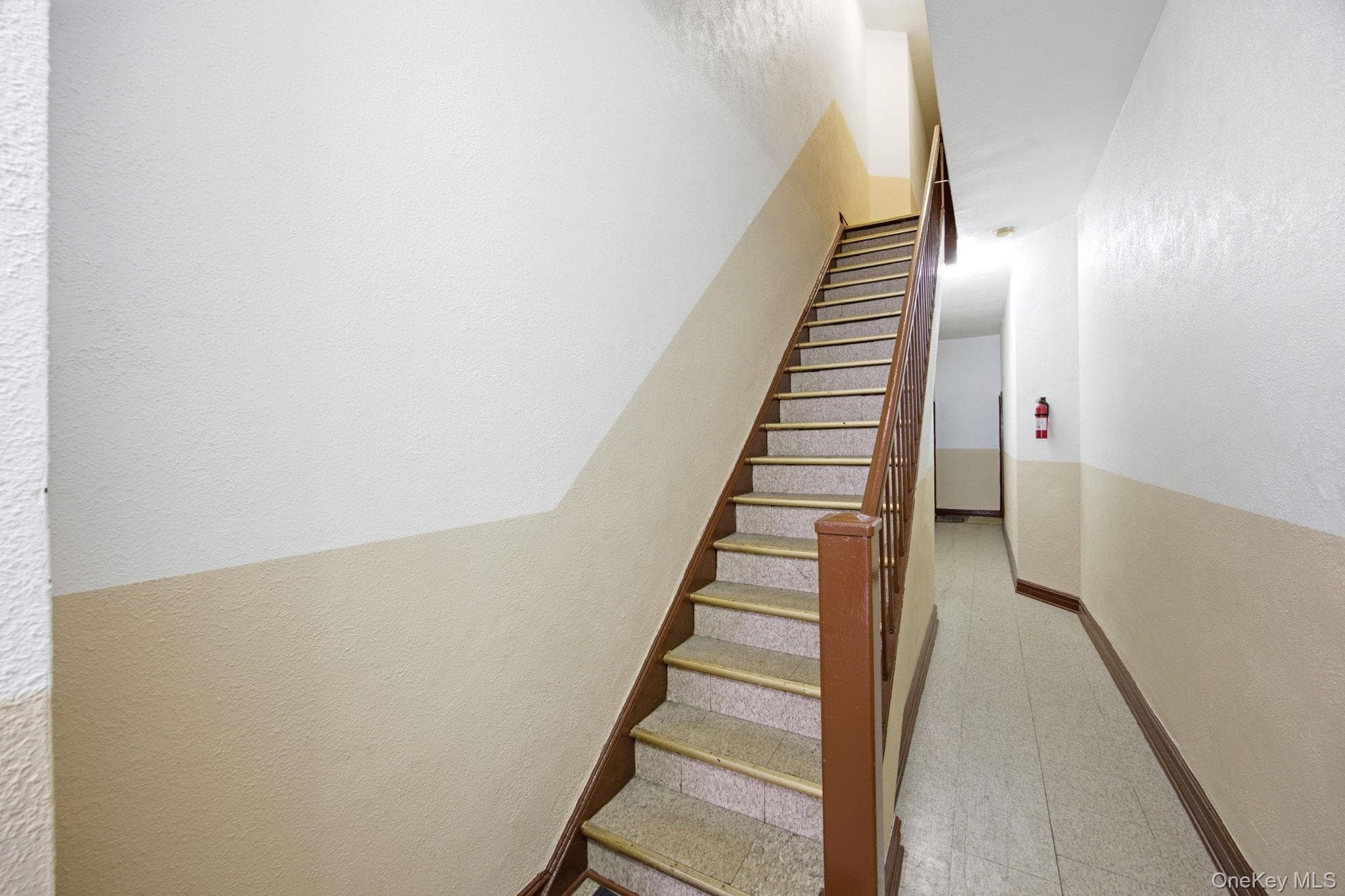317 Eckford Street thumbnail 26