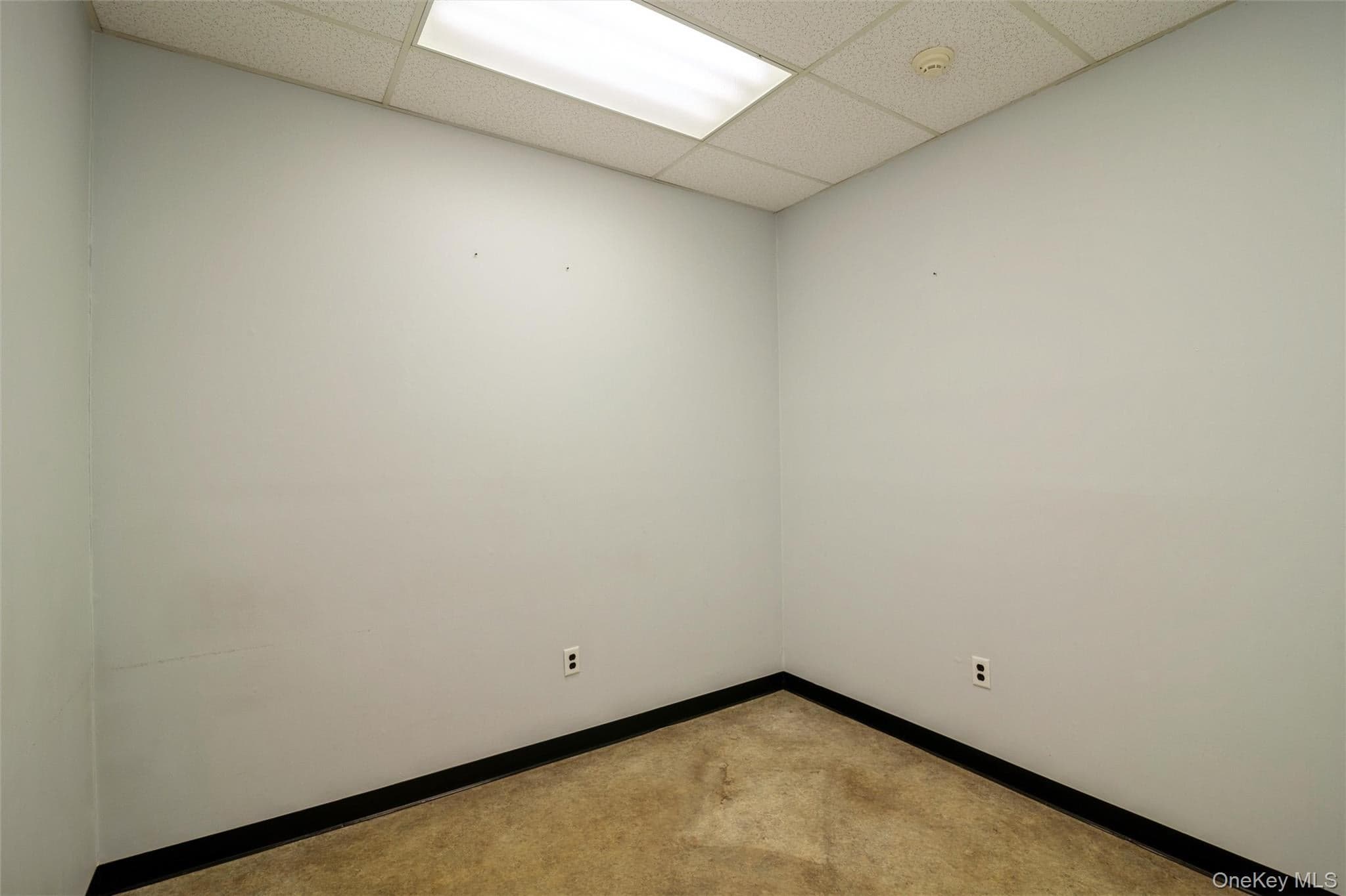 1641A Medford Avenue thumbnail 17