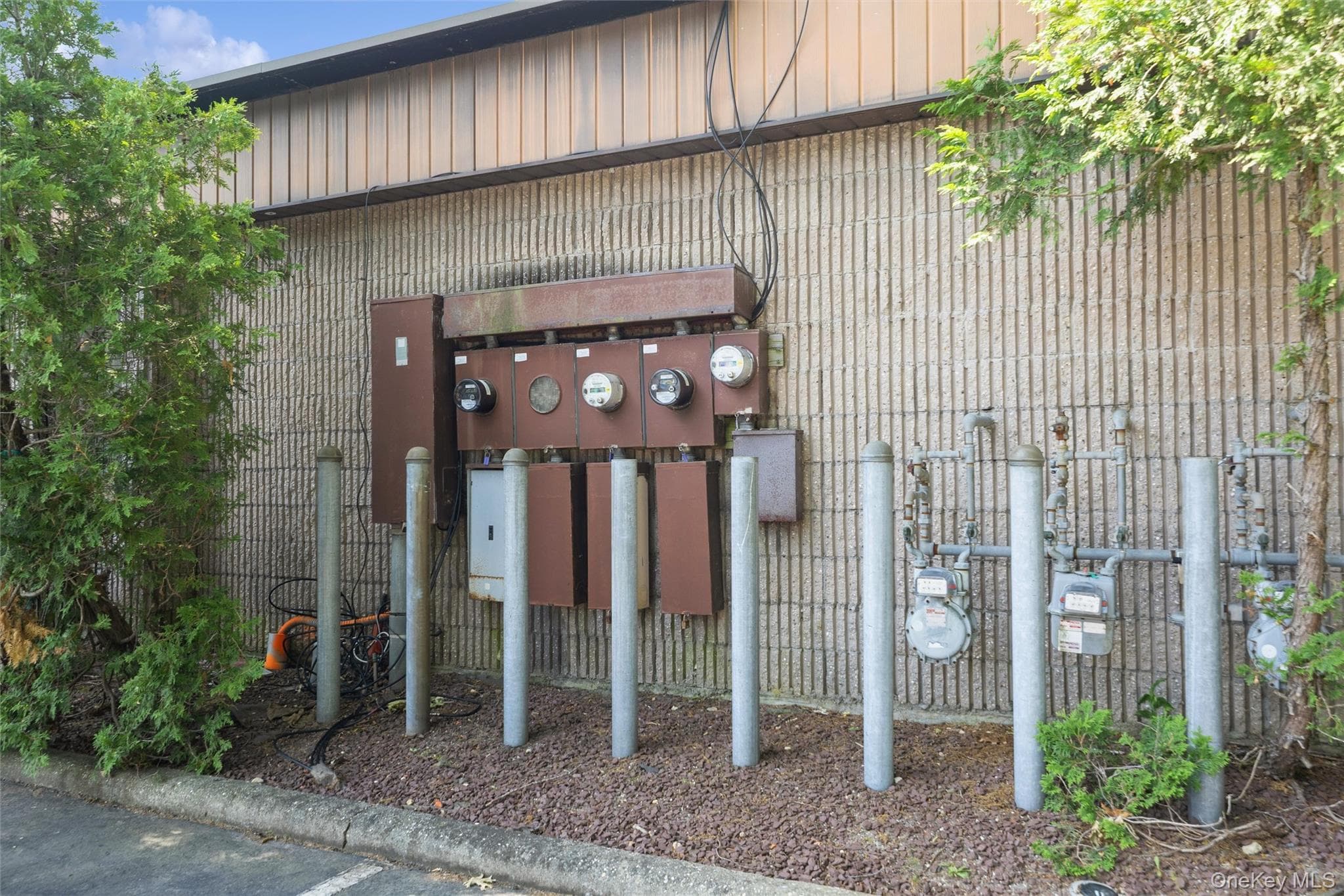 1641A Medford Avenue thumbnail 6
