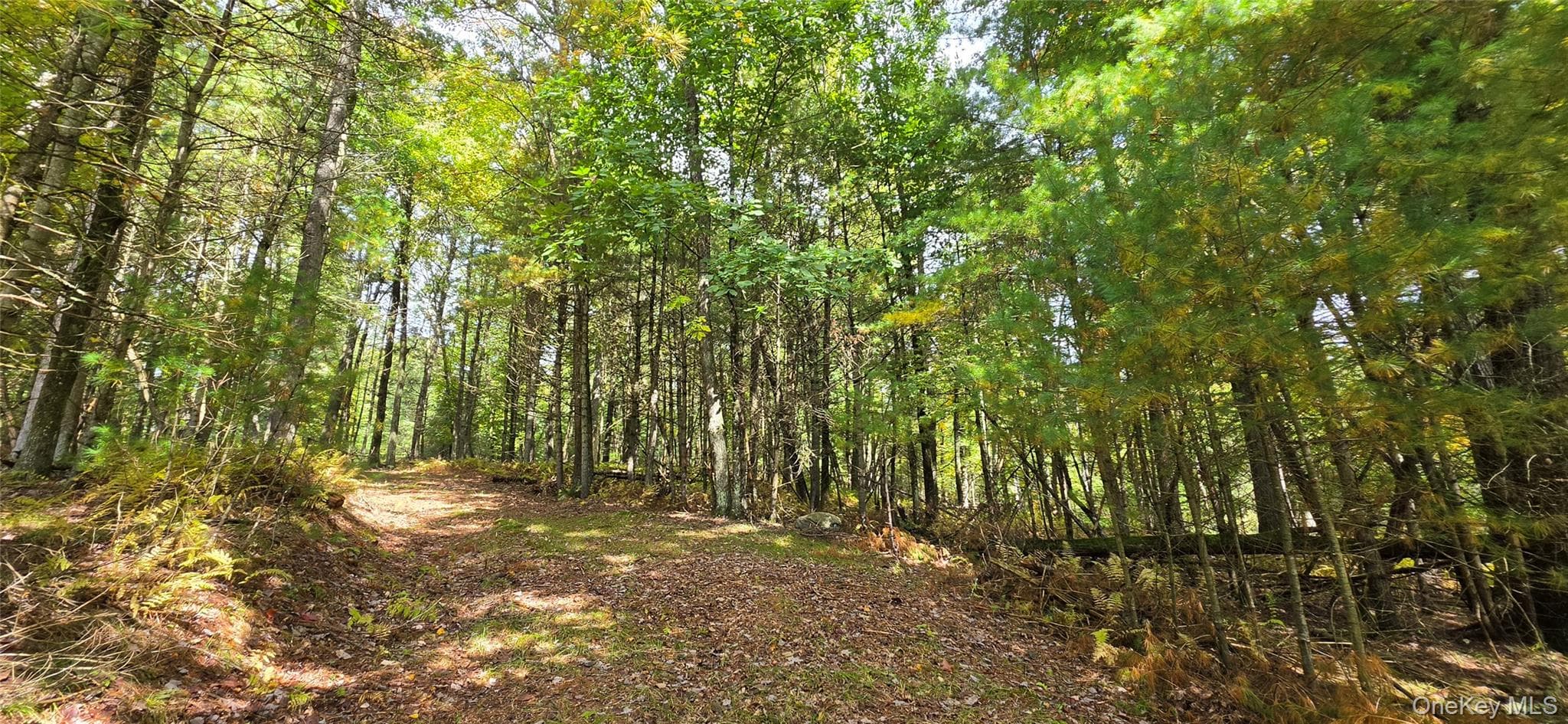 Lot 6.17 State Rt 97, Narrowsburg