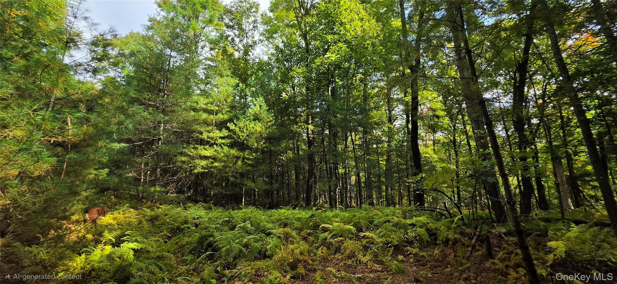 Lot 6.17 State Rt 97 thumbnail 12