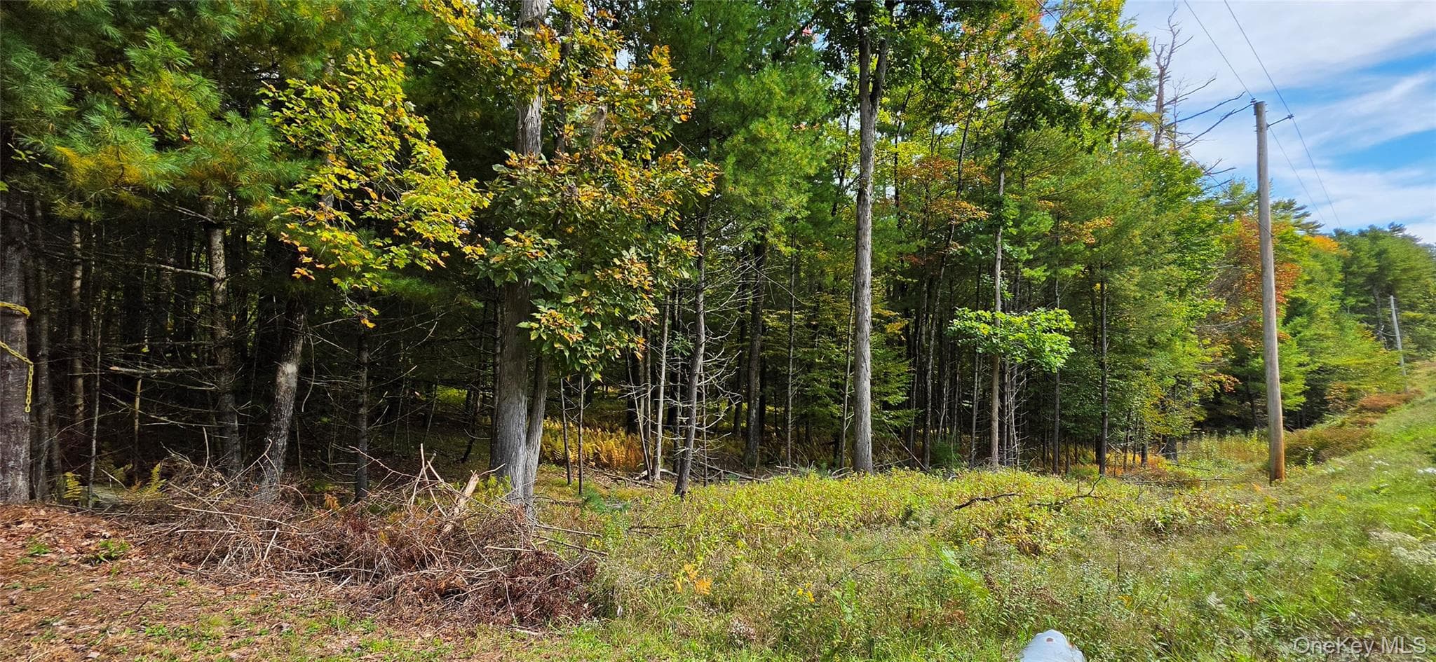 Lot 6.17 State Rt 97 thumbnail 16