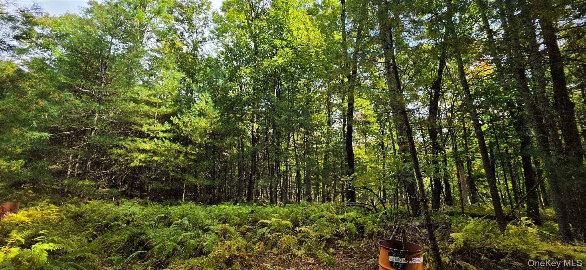 Lot 6.17 State Rt 97 thumbnail 13