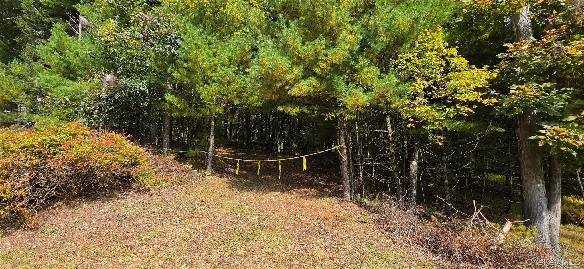 Lot 6.17 State Rt 97 thumbnail 17