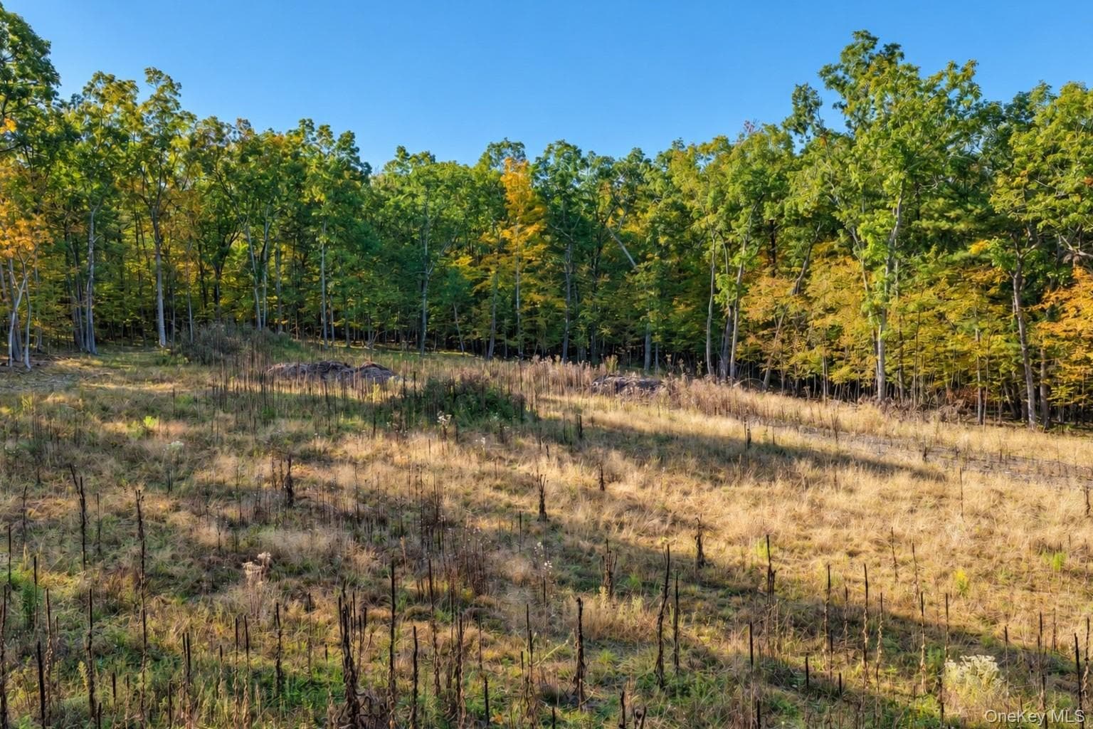 11 Rock Hill Road thumbnail 9