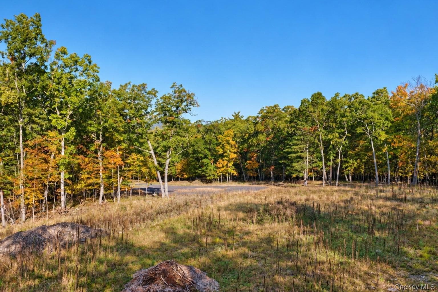 11 Rock Hill Road thumbnail 10