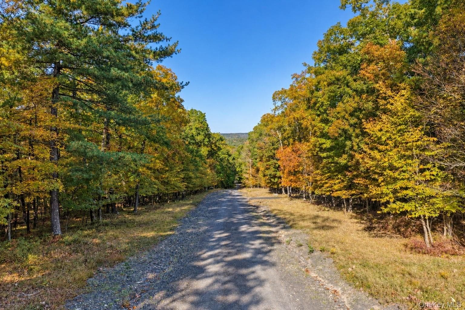 11 Rock Hill Road thumbnail 6