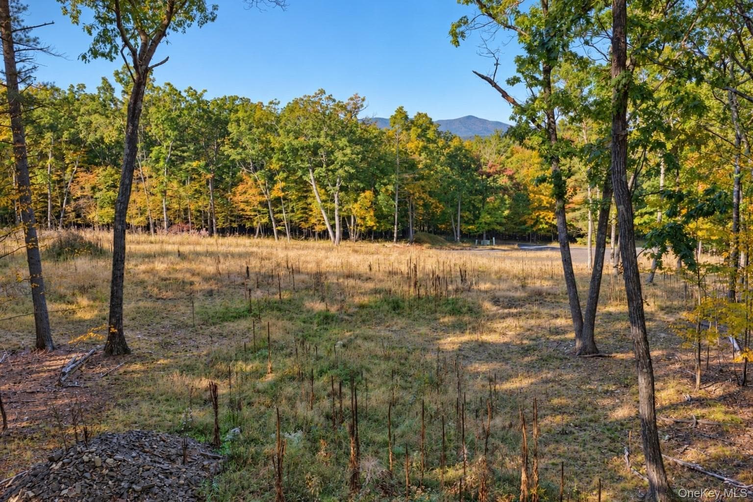 11 Rock Hill Road thumbnail 11
