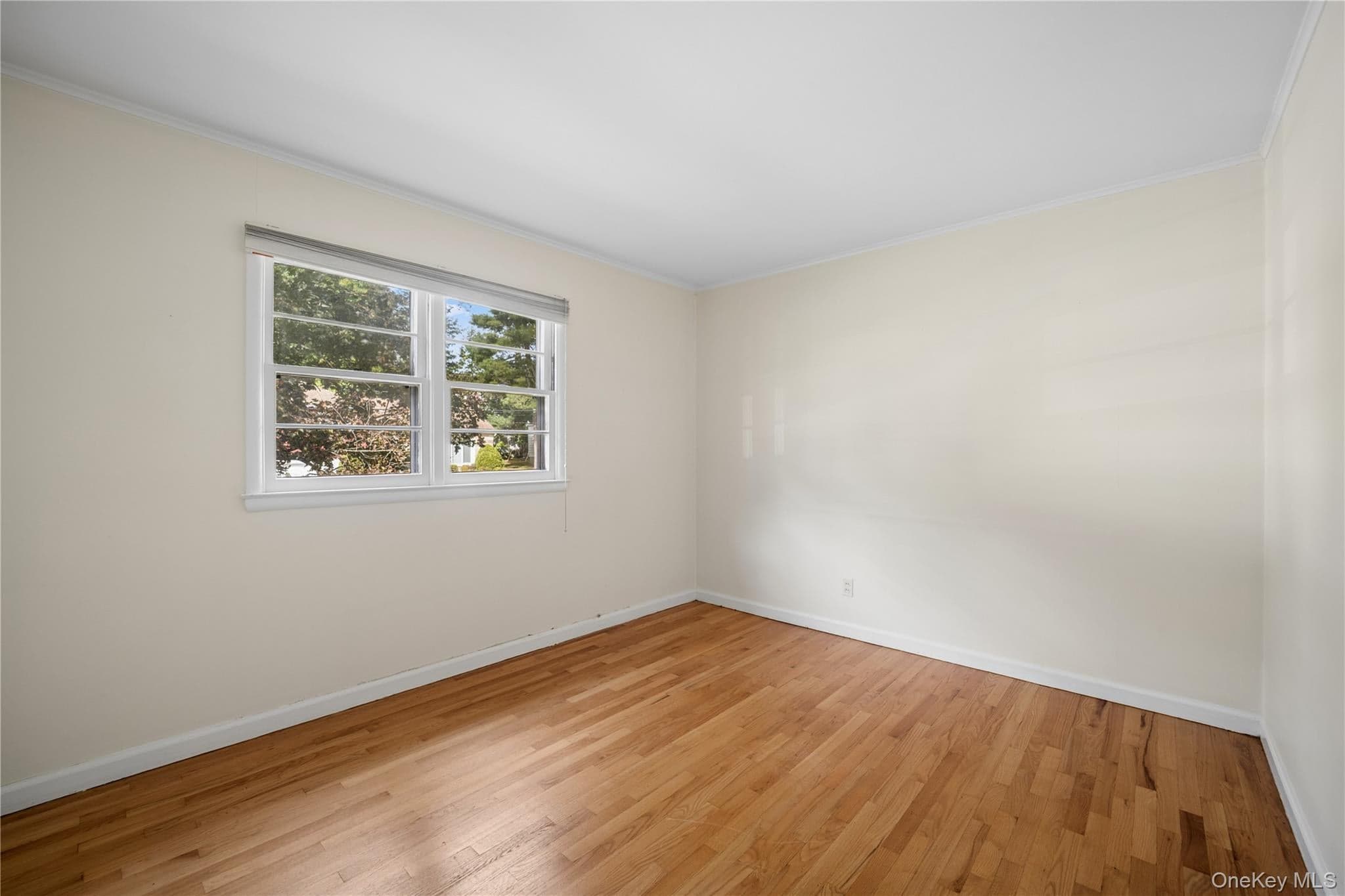 226 Rosehill Avenue thumbnail 21