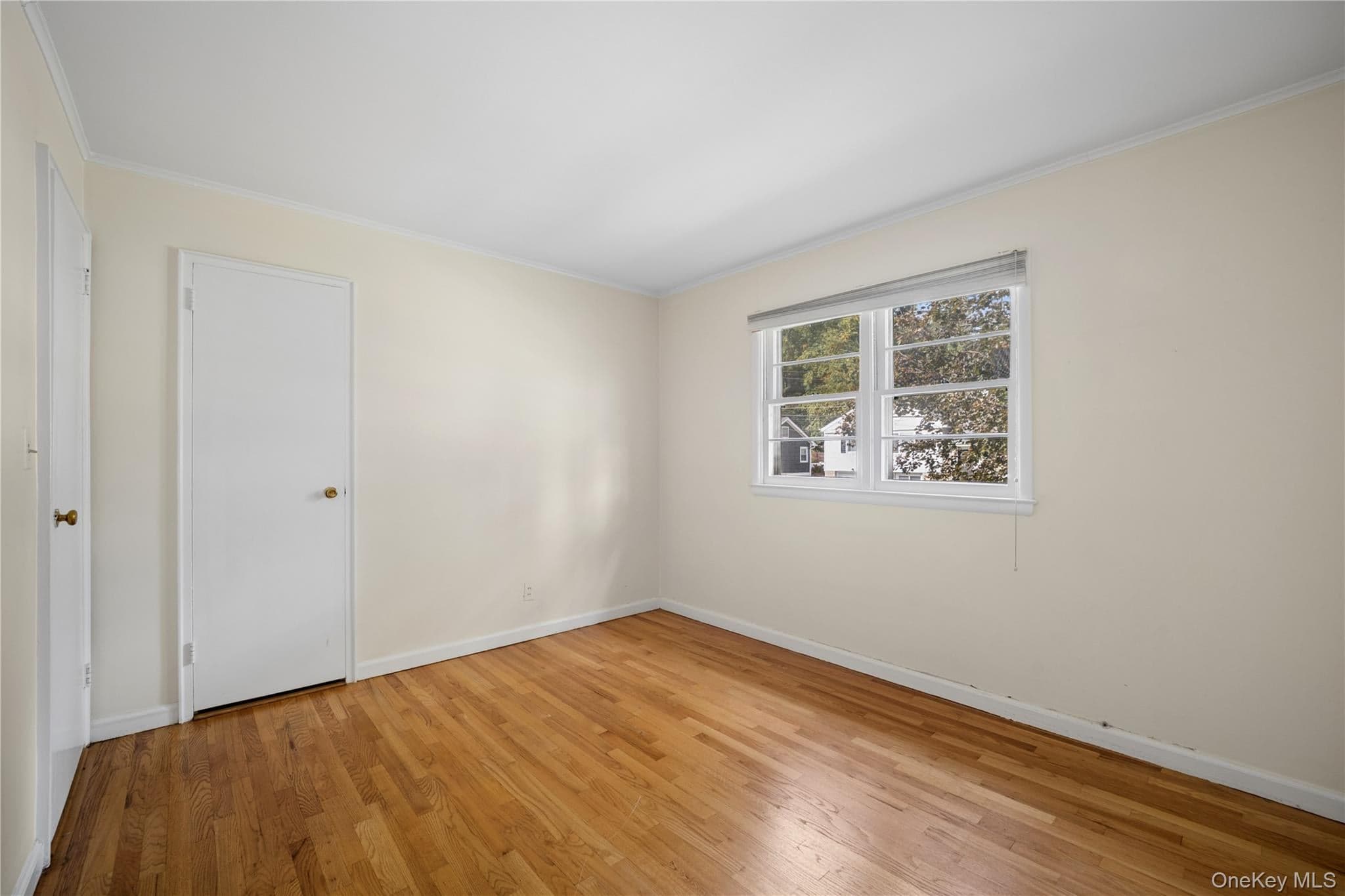 226 Rosehill Avenue thumbnail 22