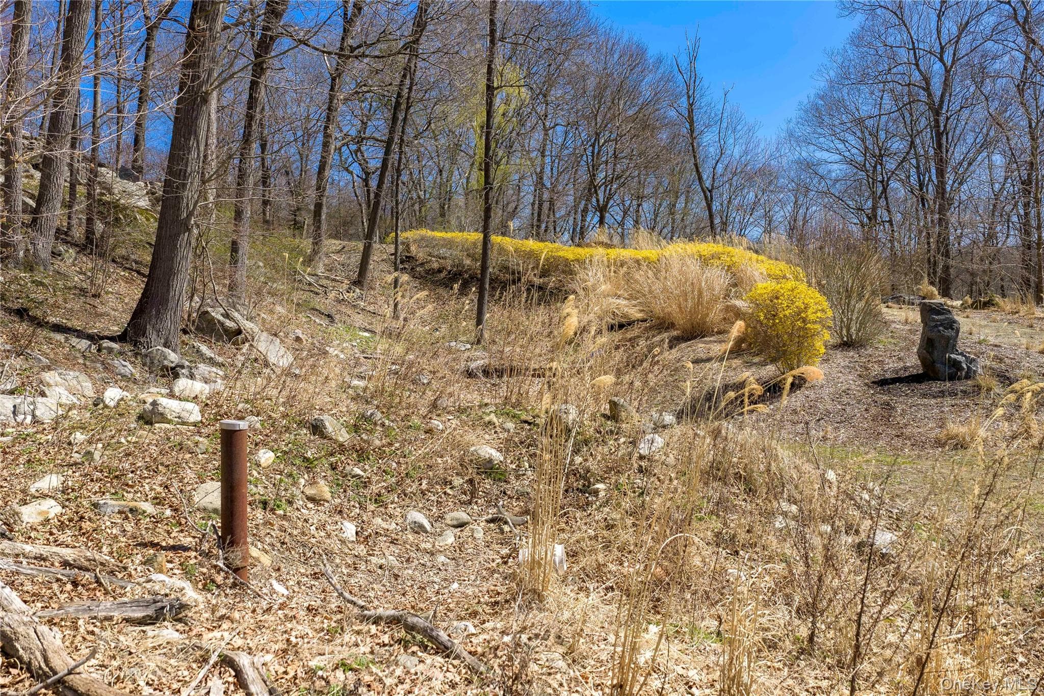 93 Settlers Hill Road thumbnail 10