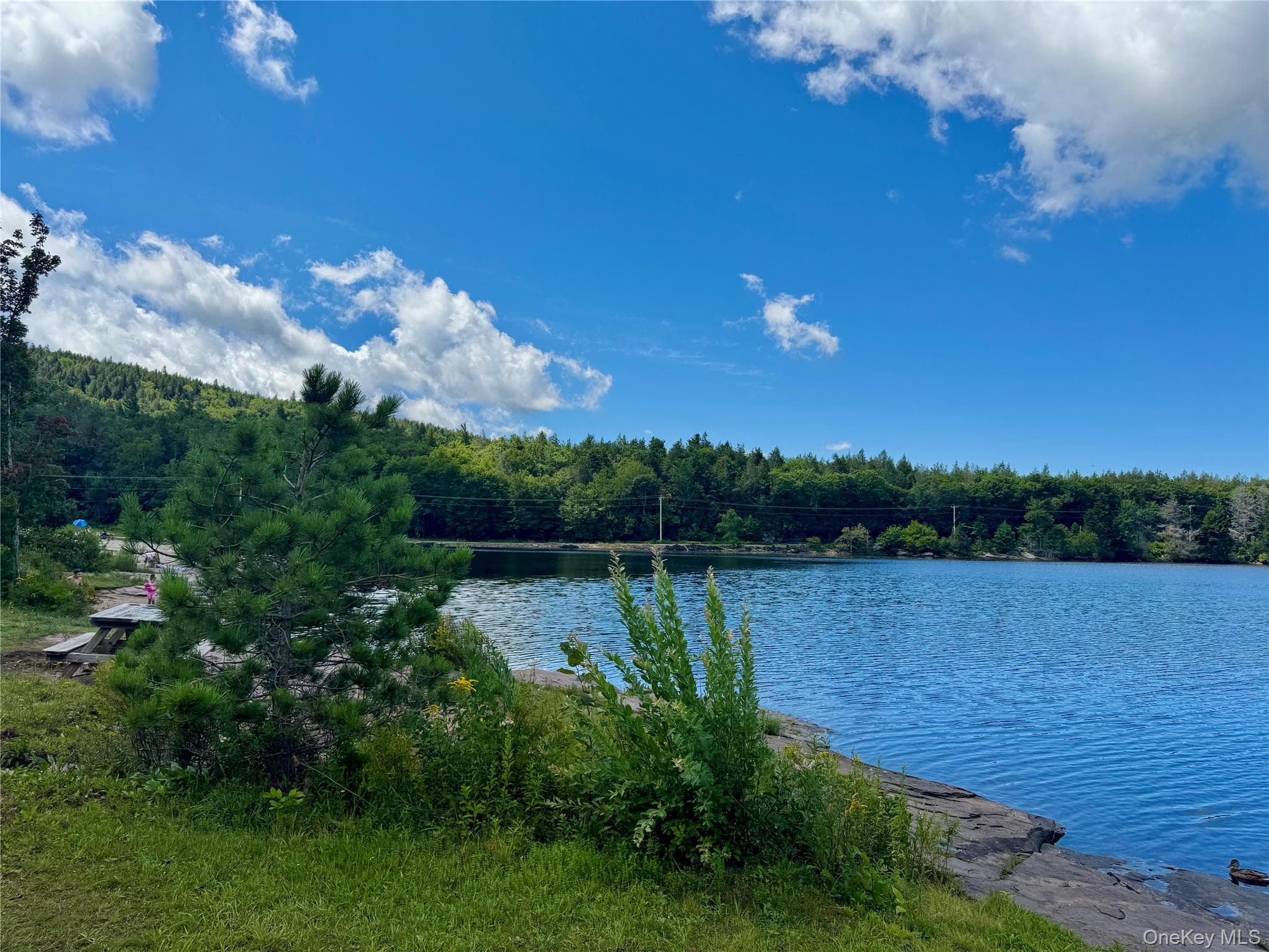 398 Lake Road thumbnail 32