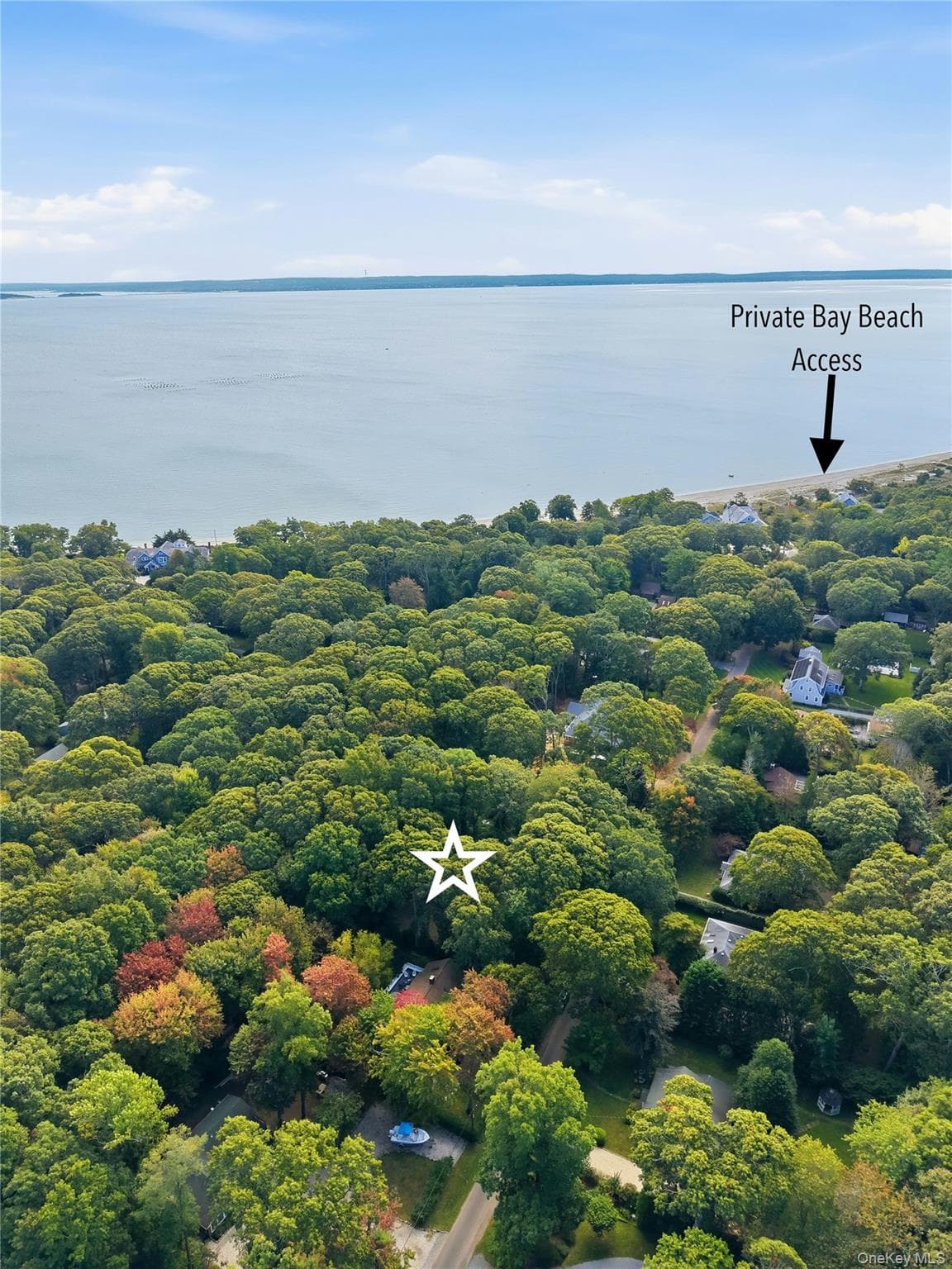 965 Smith Road thumbnail 13