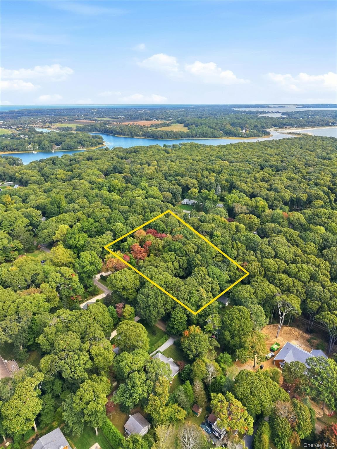 965 Smith Road thumbnail 9