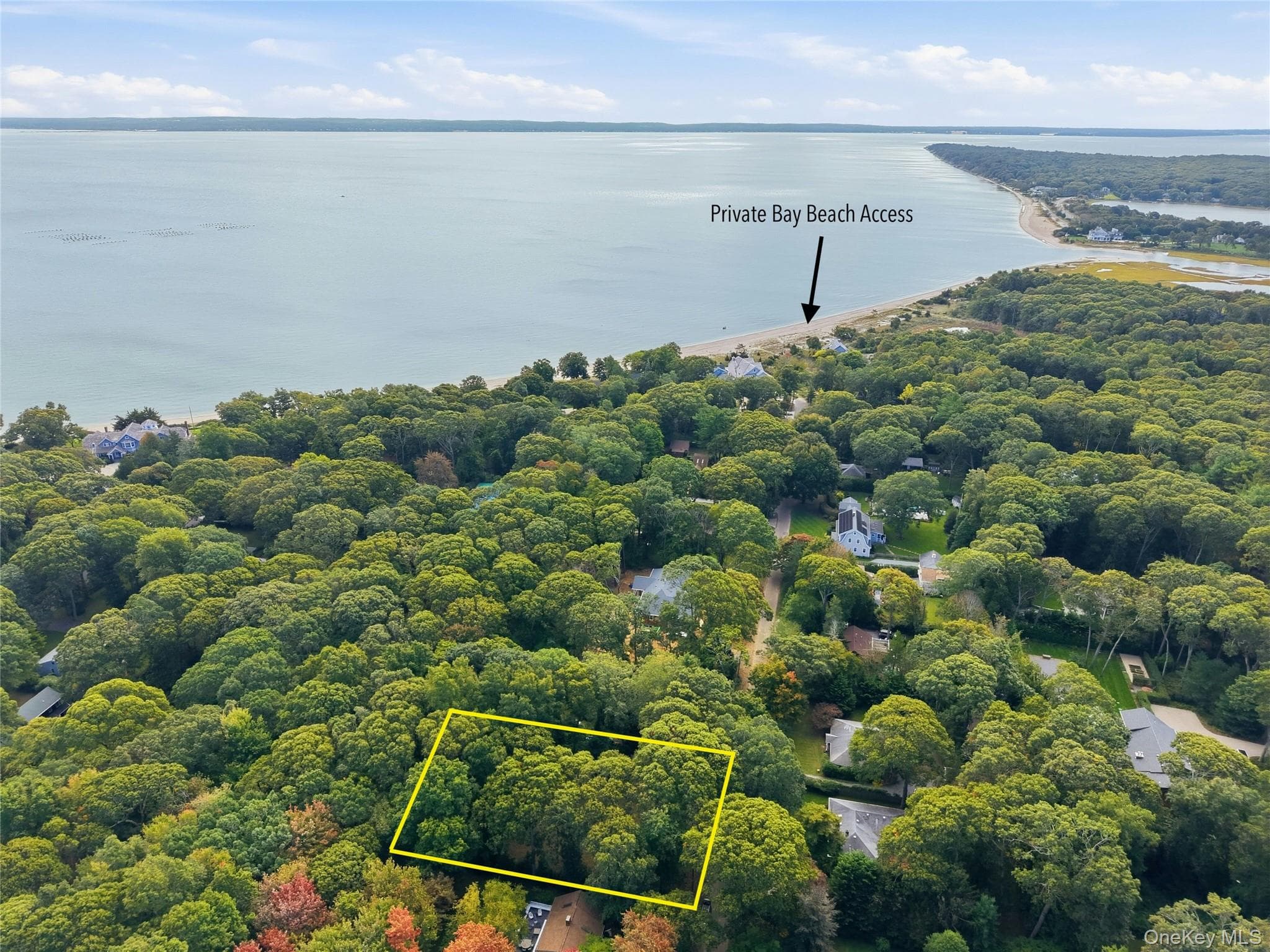 965 Smith Road photo 1