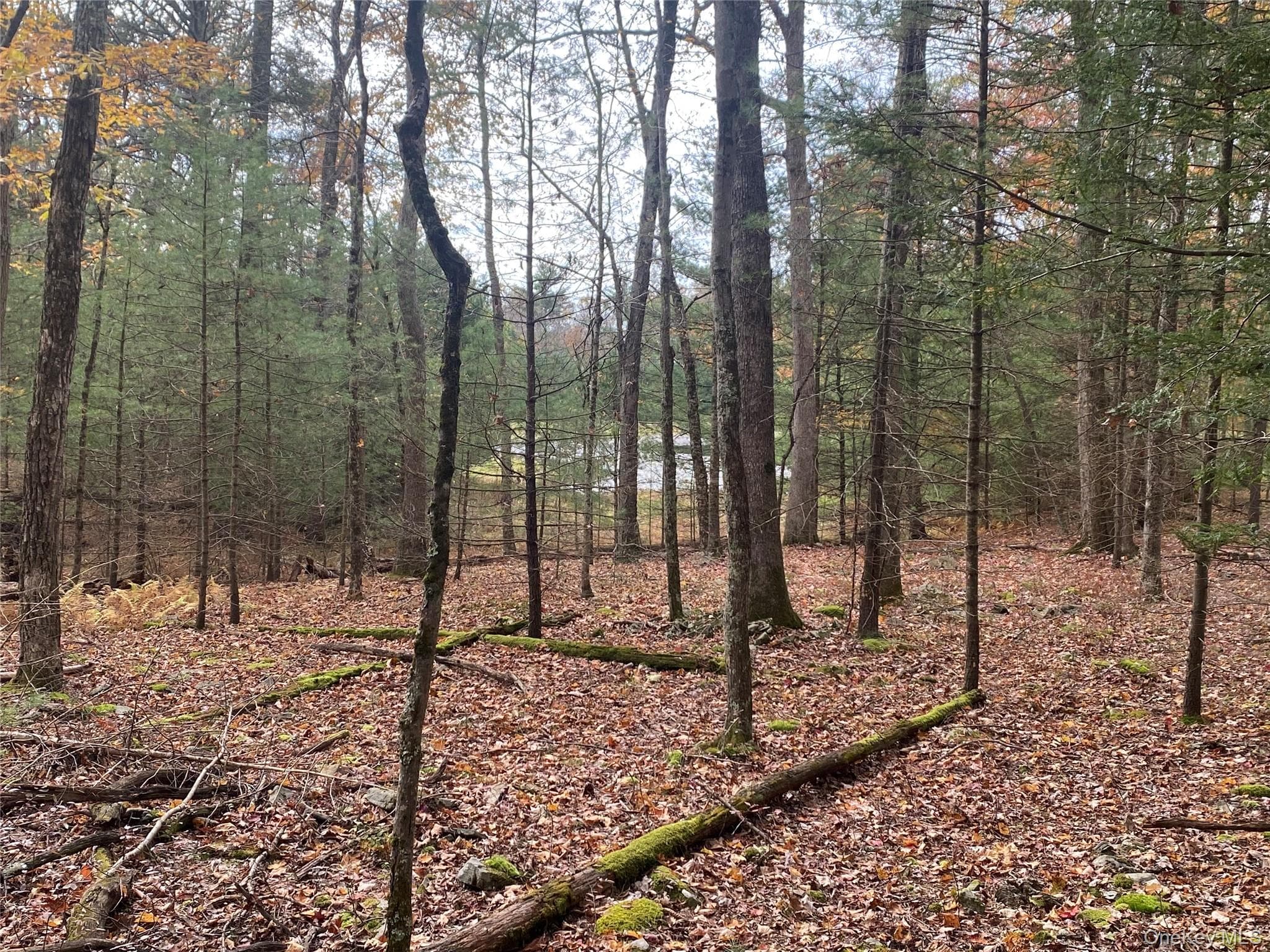 Split Rock Drive thumbnail 5