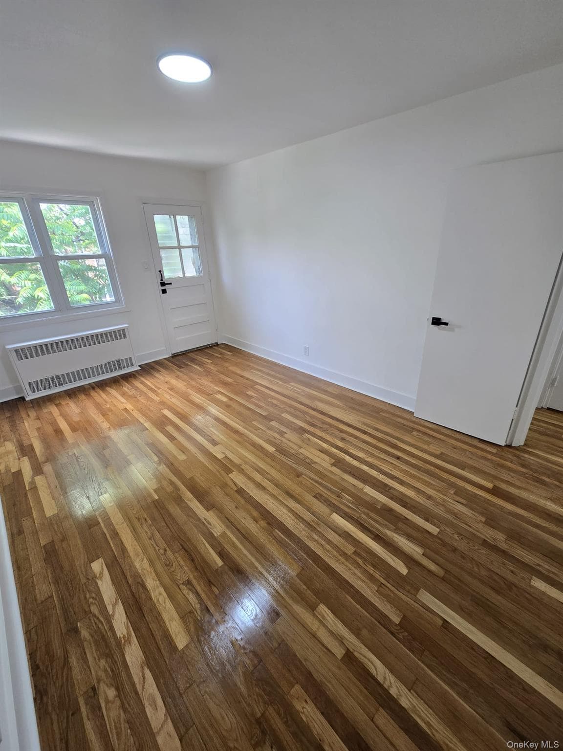 1161 E 101st Street thumbnail 18