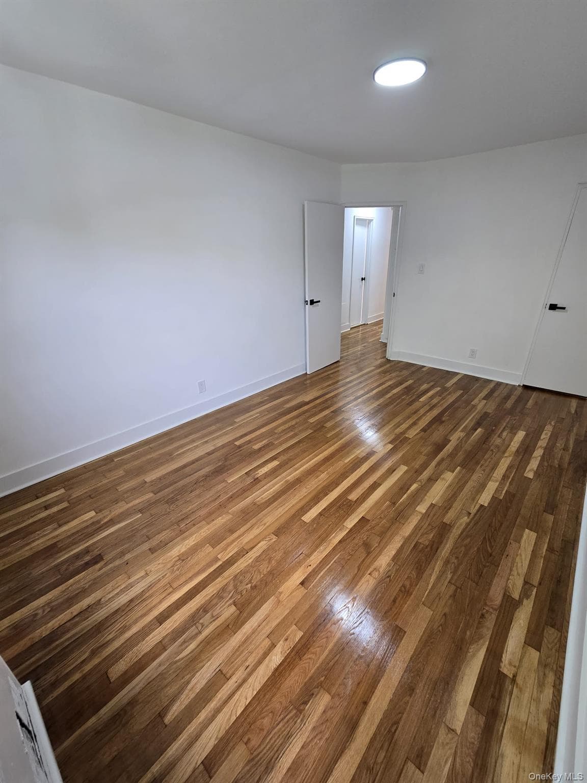 1161 E 101st Street thumbnail 17