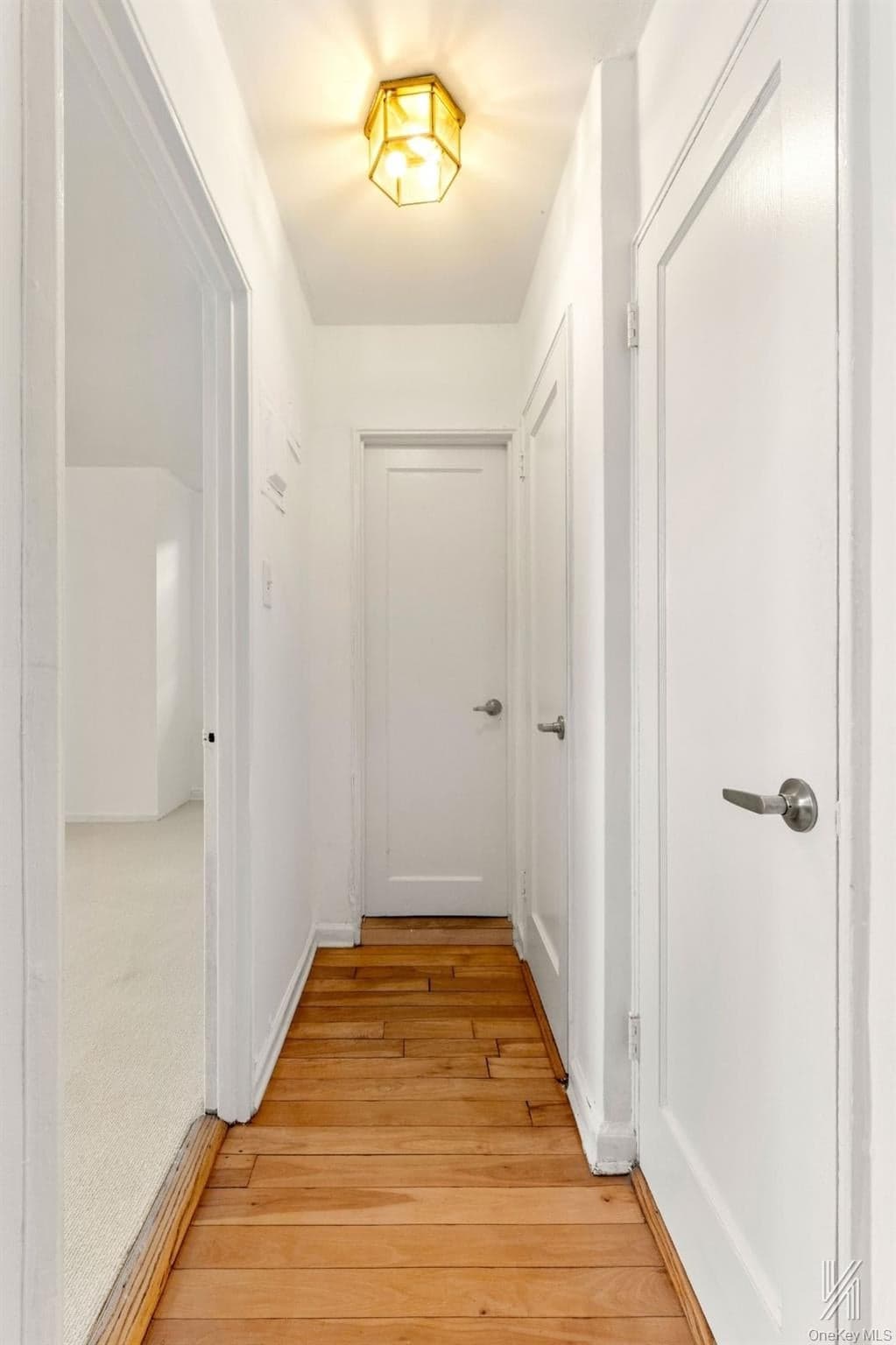 39-25 51st Street Unit: 1F thumbnail 16