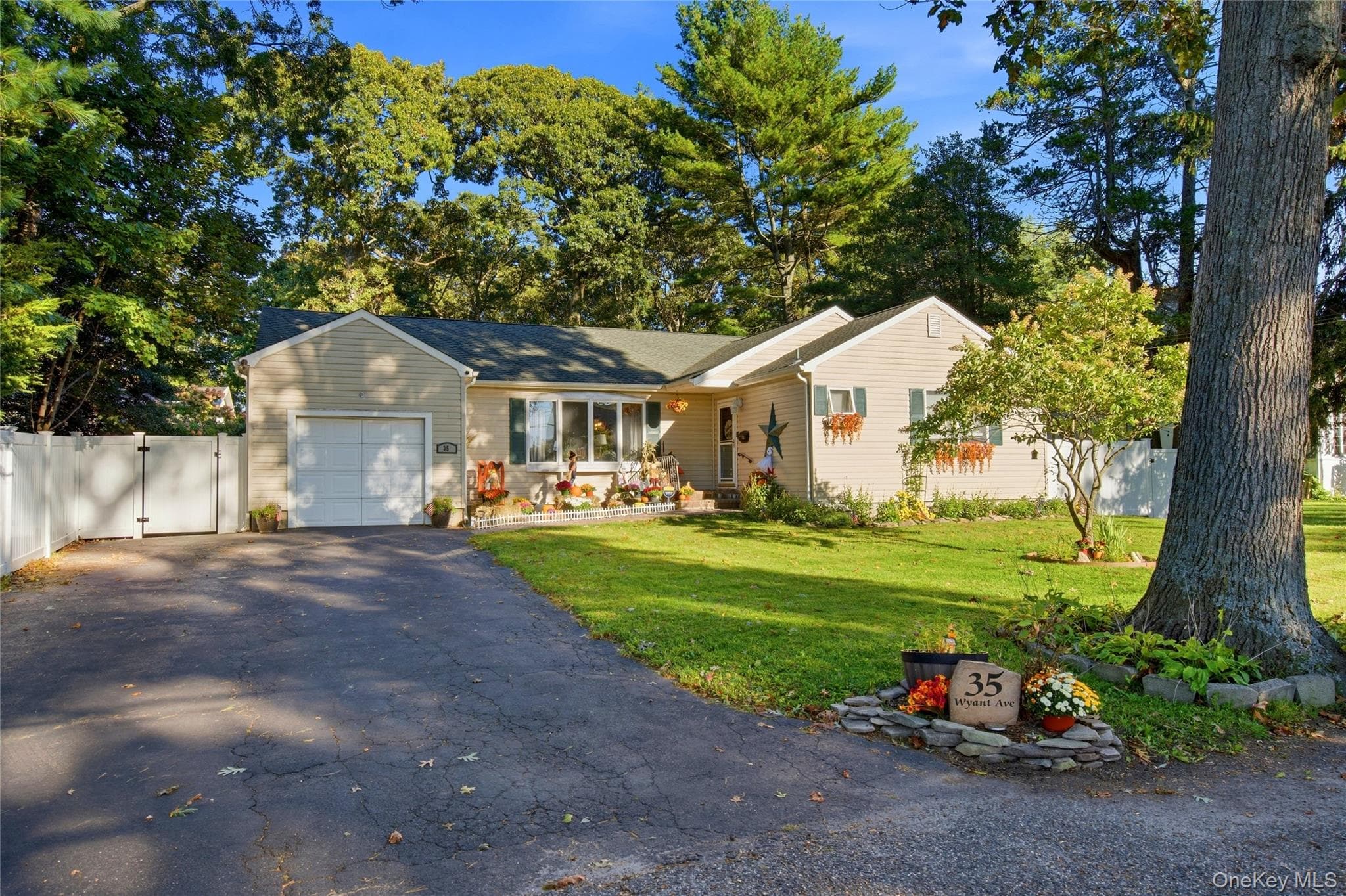 35 Wyant Avenue thumbnail 2