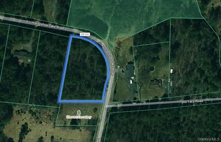 Horseshoe Lake Road thumbnail 5