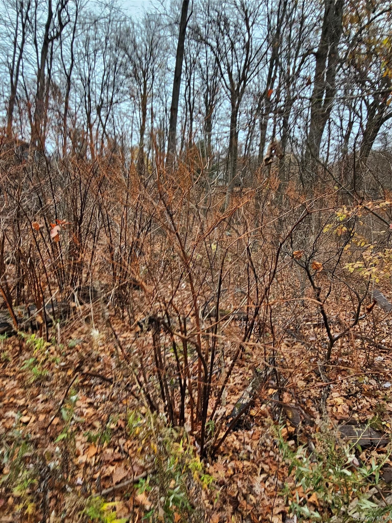 73 Sylvan Trail thumbnail 3