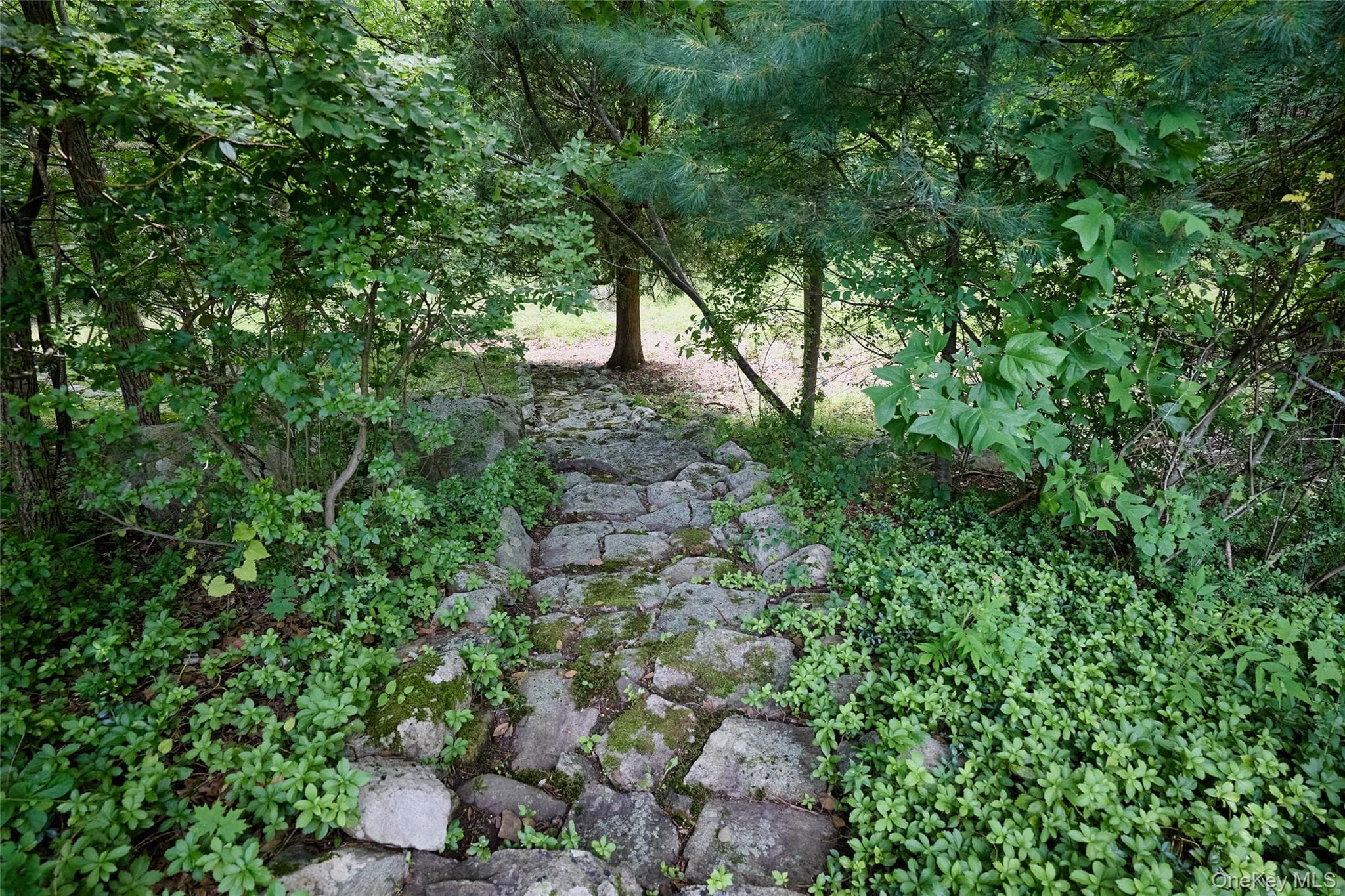 55 Mountain Farm Road thumbnail 43