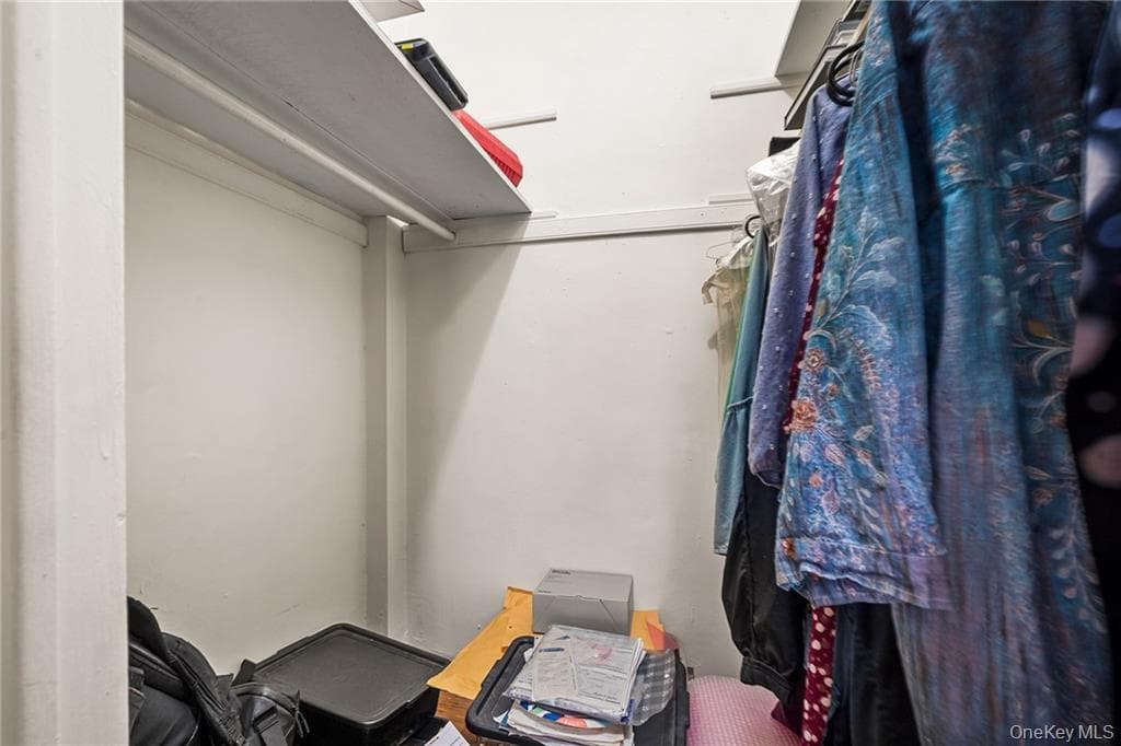 3015 Riverdale Avenue Unit: 5F thumbnail 18