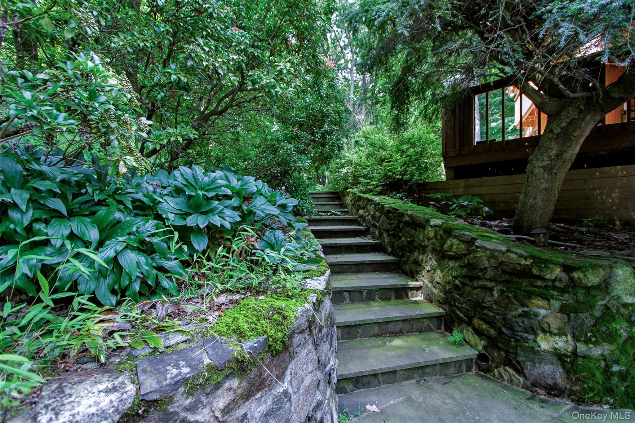 69 Canopus Hill Road thumbnail 37