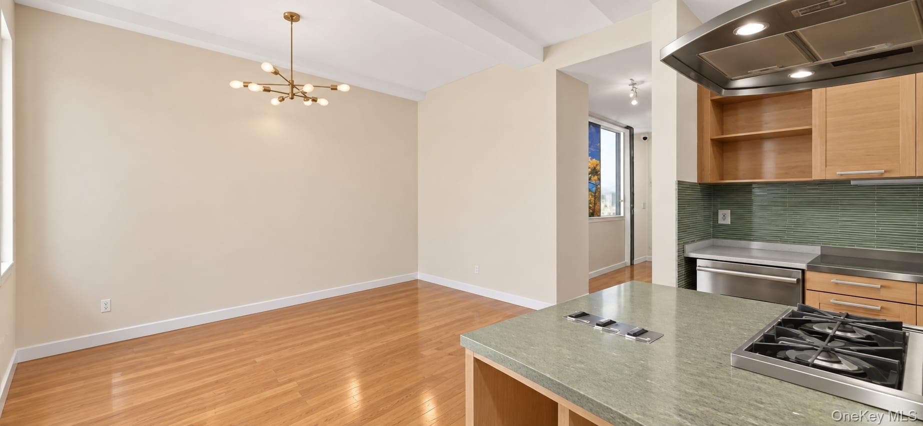 75 Livingston Street Unit: 13E thumbnail 4