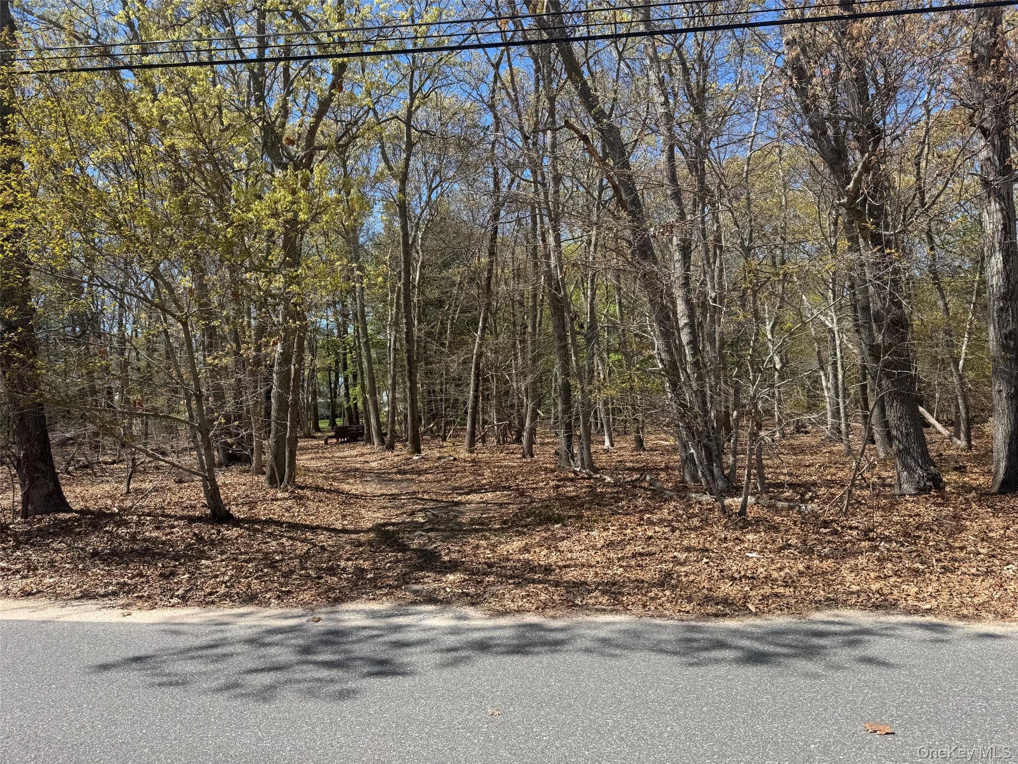 725 Youngs Avenue thumbnail 3