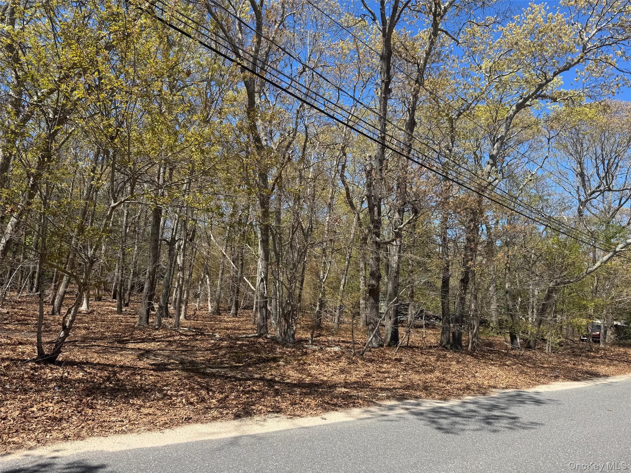725 Youngs Avenue thumbnail 2