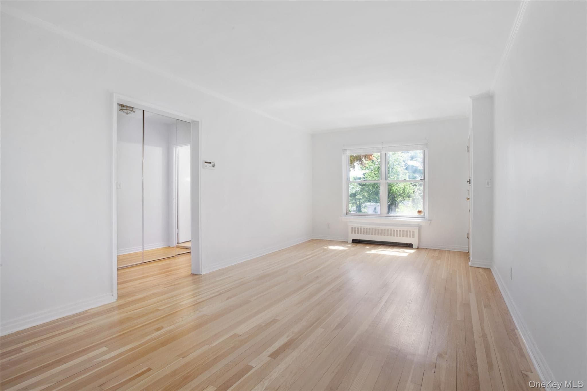 196-35 Dunton Ave Hollis Ave Unit: 1 thumbnail 2