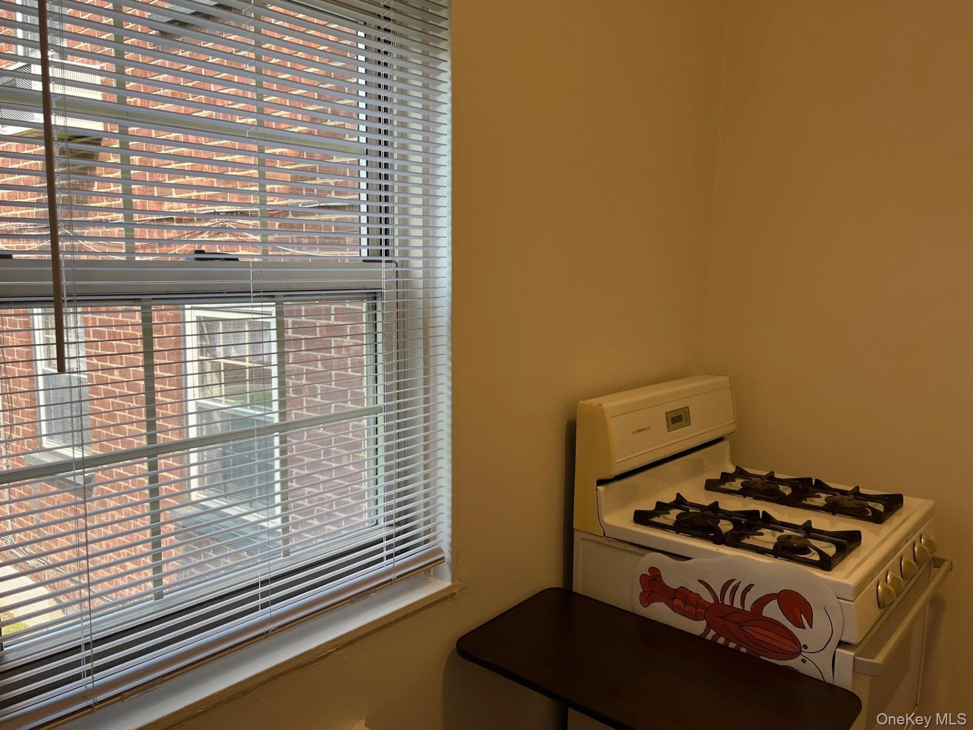 210-12 69th Avenue Unit: Lower thumbnail 5