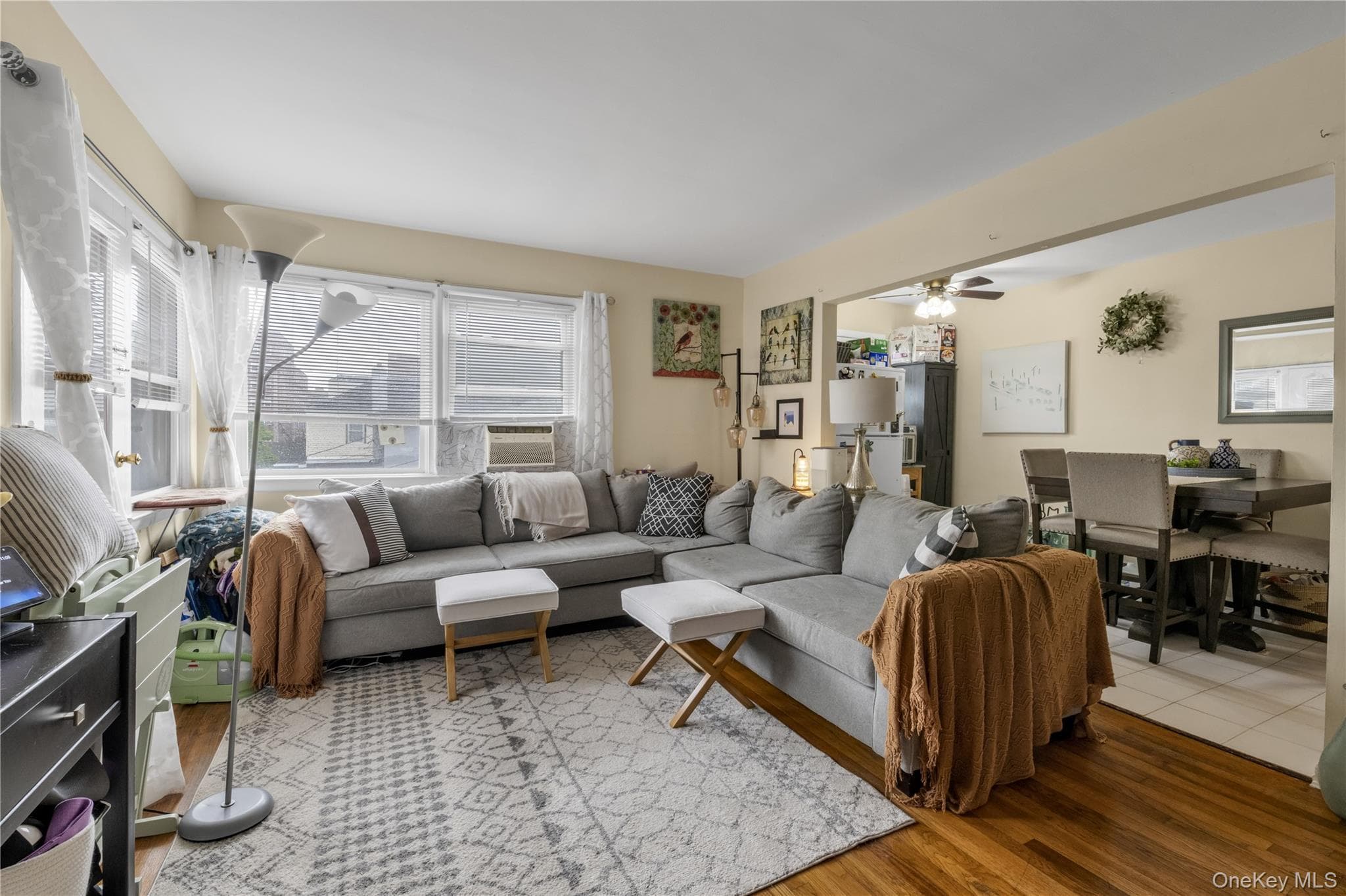 531 E Broadway thumbnail 2