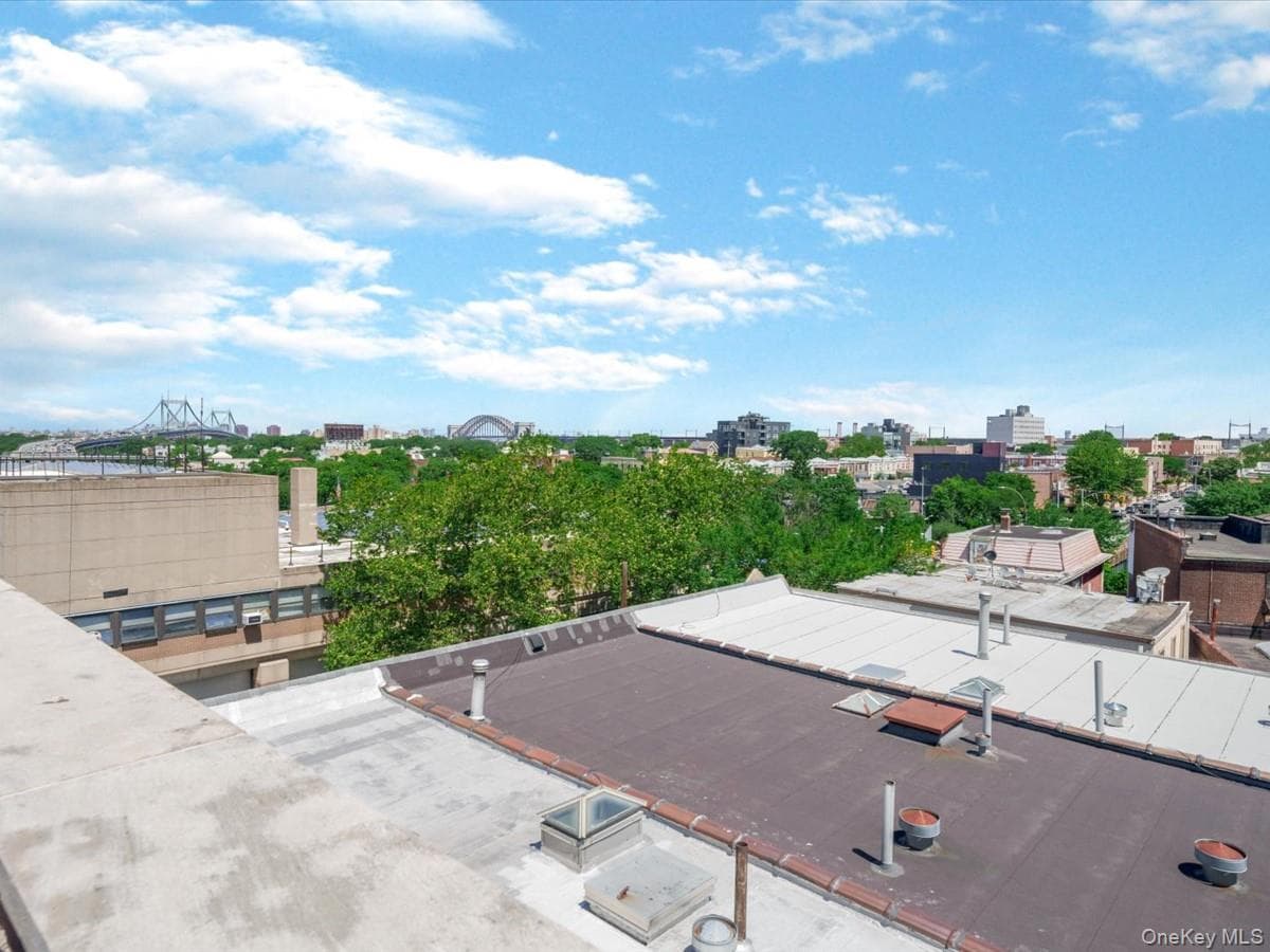 2519 35th Street Unit: 4C thumbnail 18