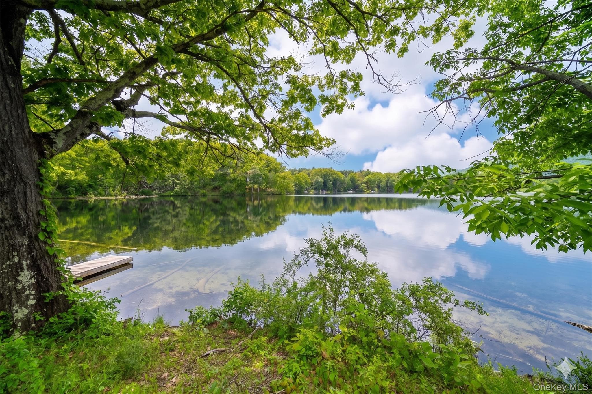 71 Lake Shore Road thumbnail 11