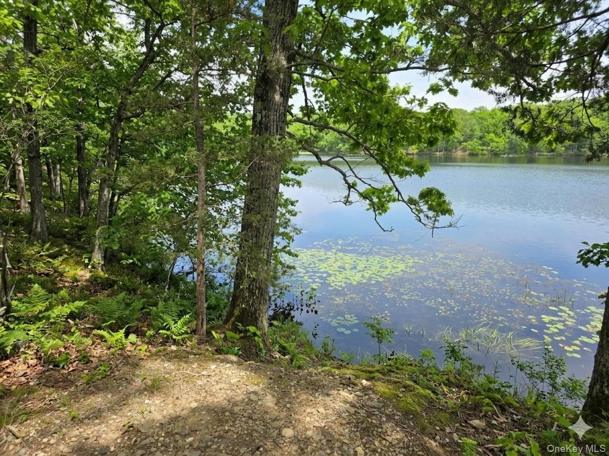 71 Lake Shore Road thumbnail 14