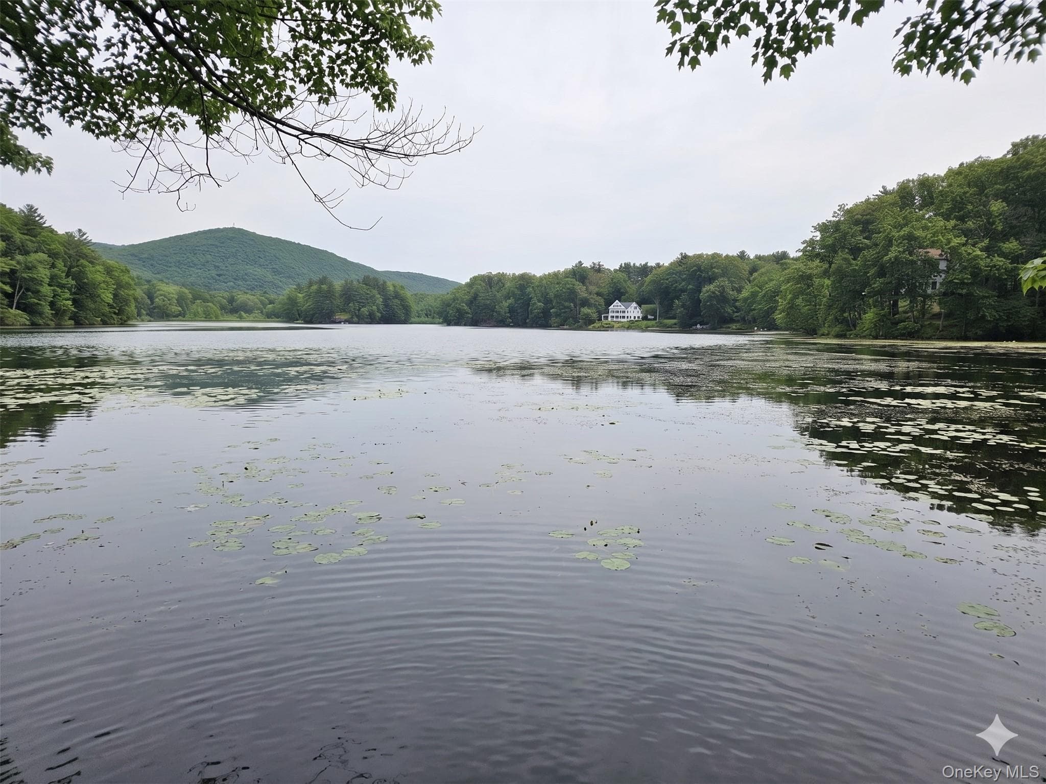 71 Lake Shore Road thumbnail 18