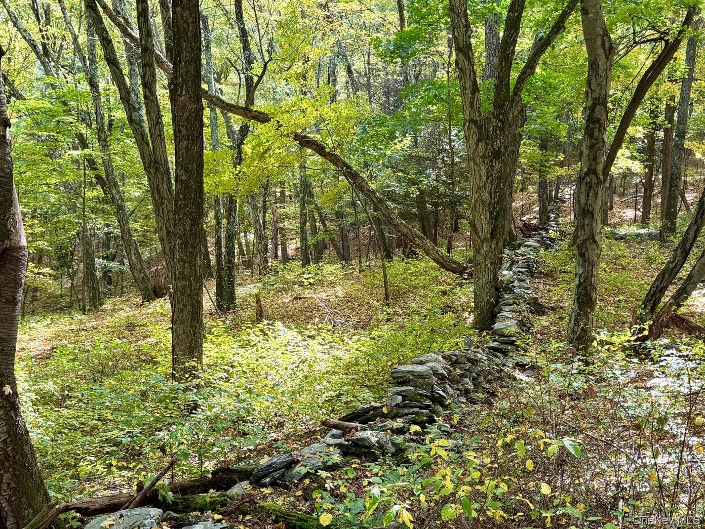 Fiddlers Bridge Road thumbnail 6