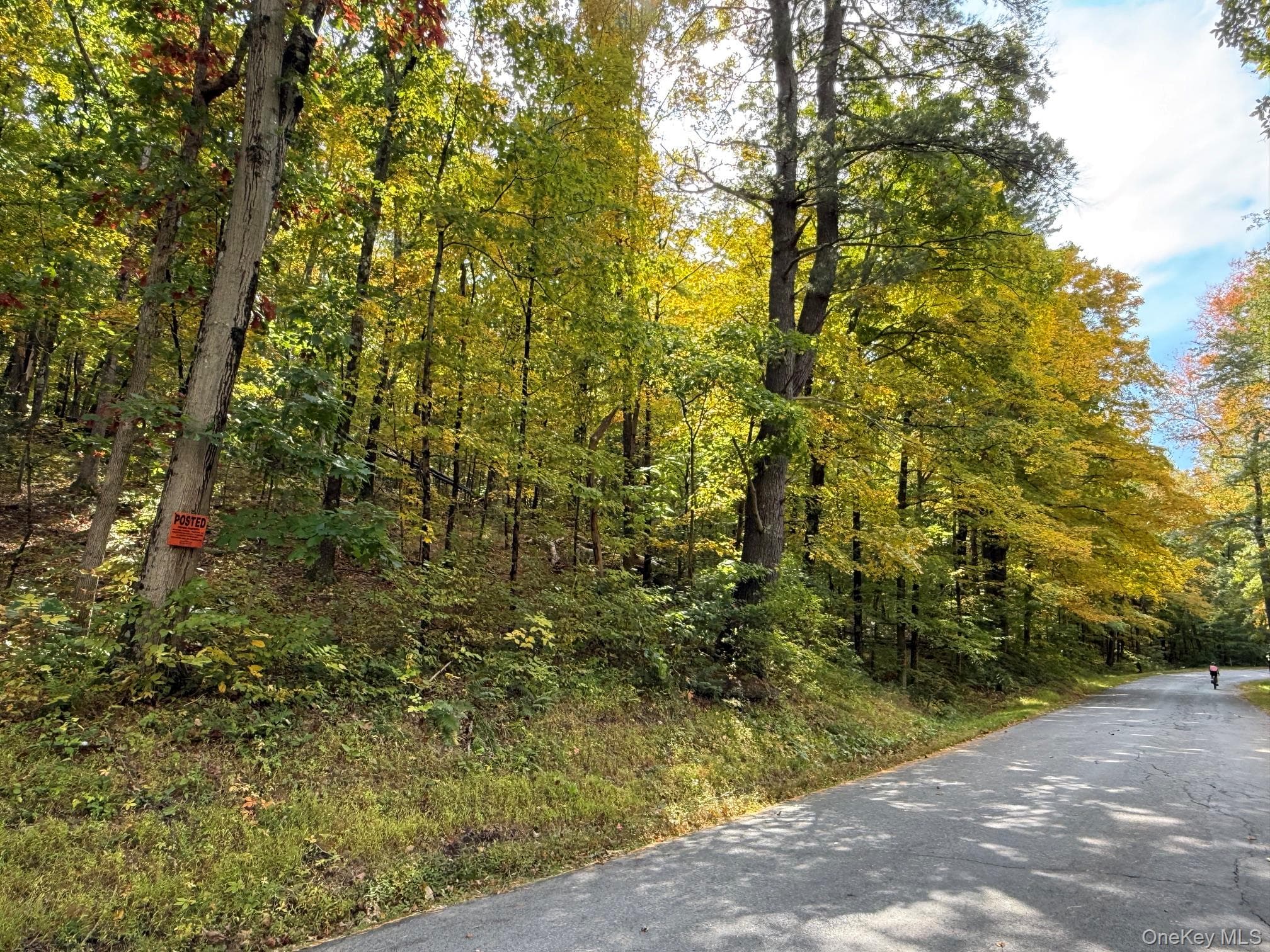 Fiddlers Bridge Road thumbnail 3