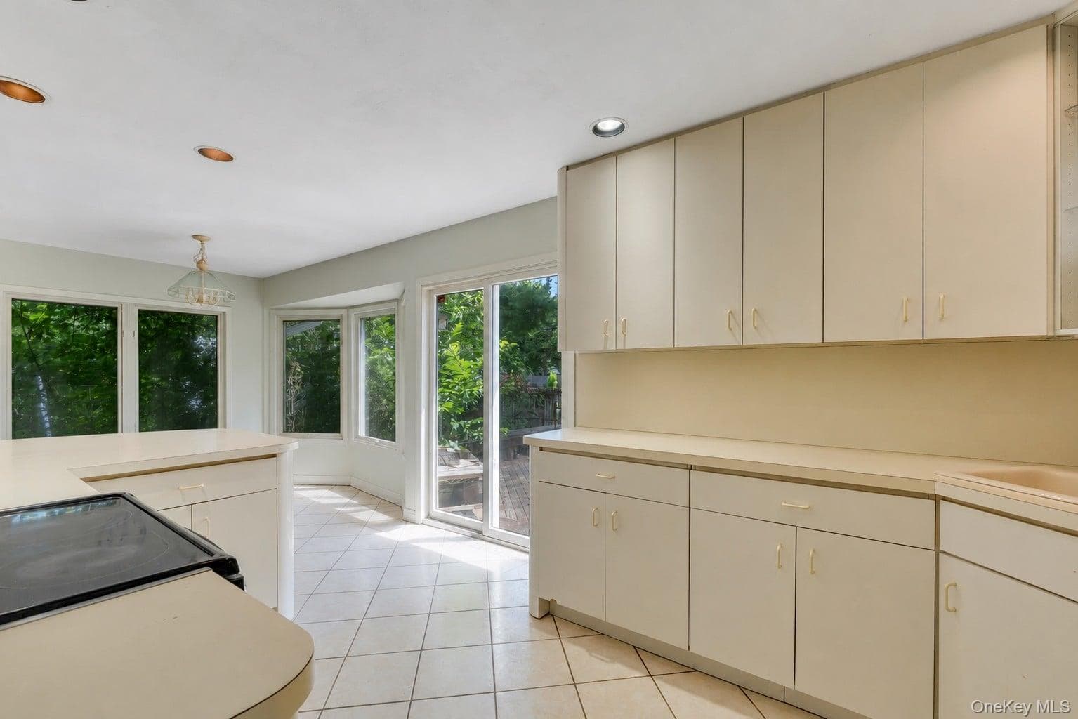55 Riverview Court thumbnail 30