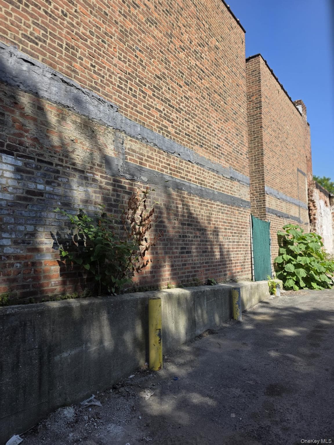 209 W 3rd Street thumbnail 13