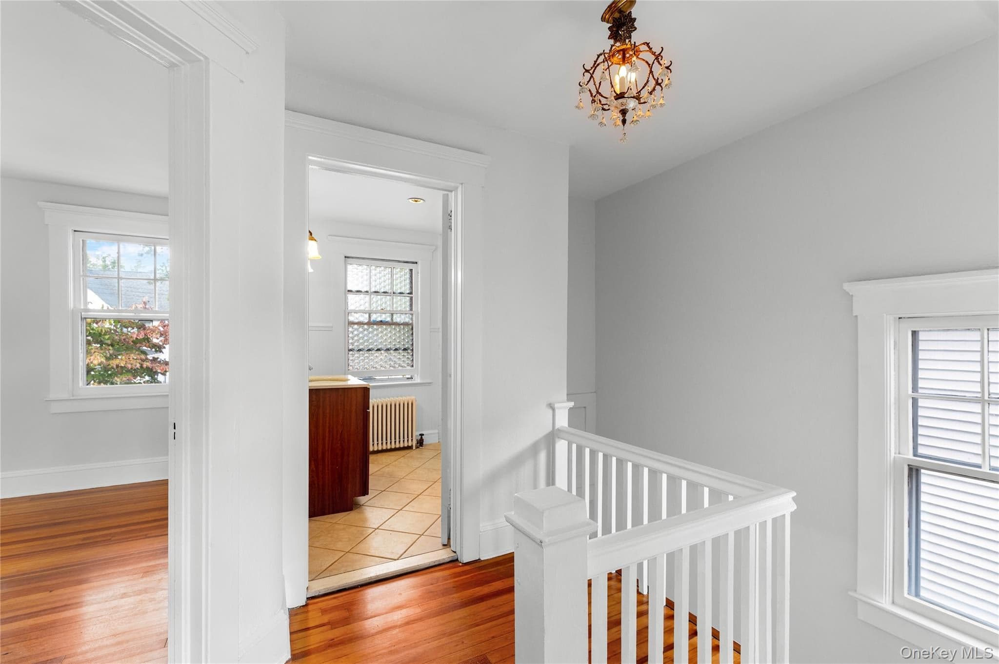 49 Elysian Avenue thumbnail 22