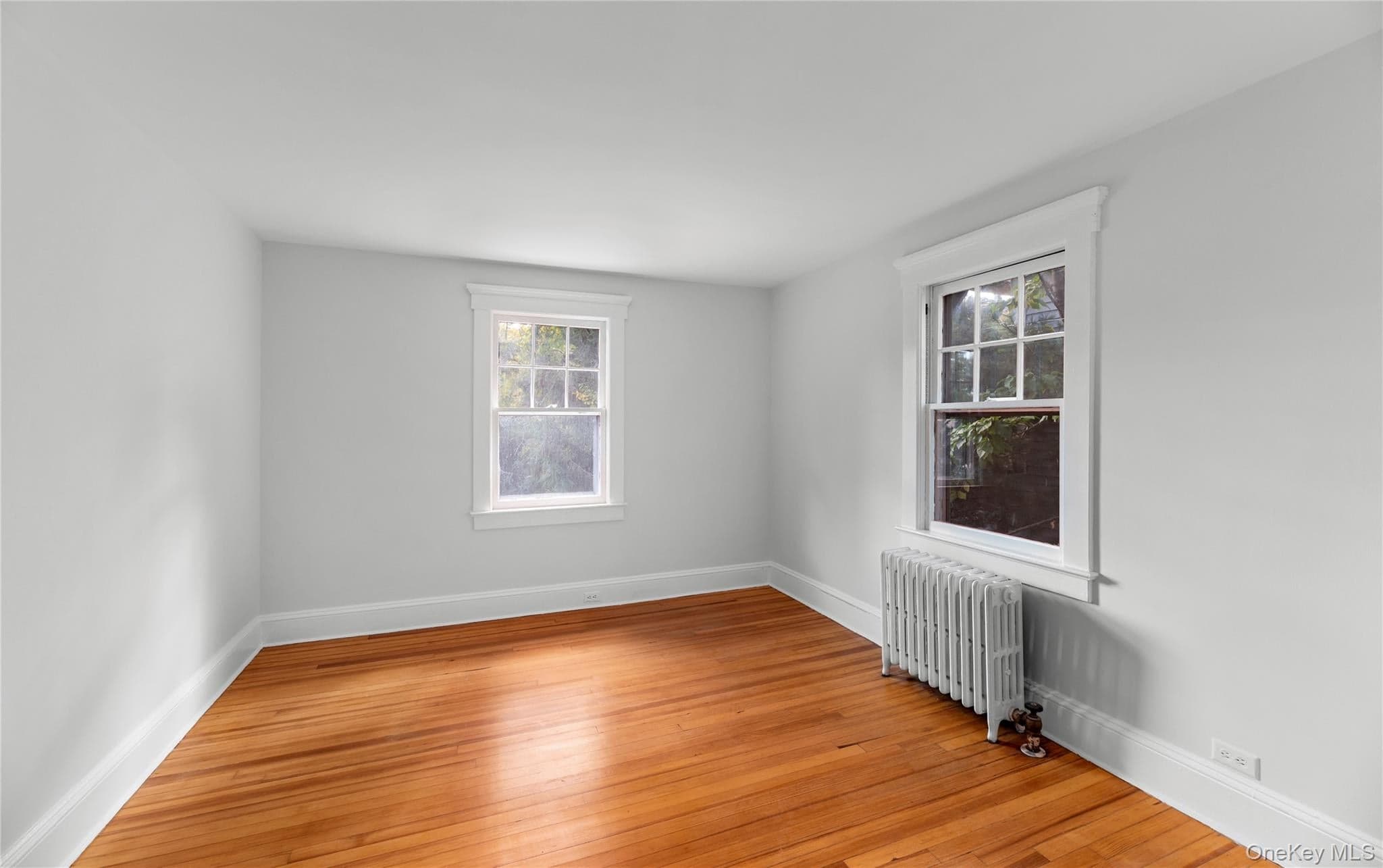 49 Elysian Avenue thumbnail 27