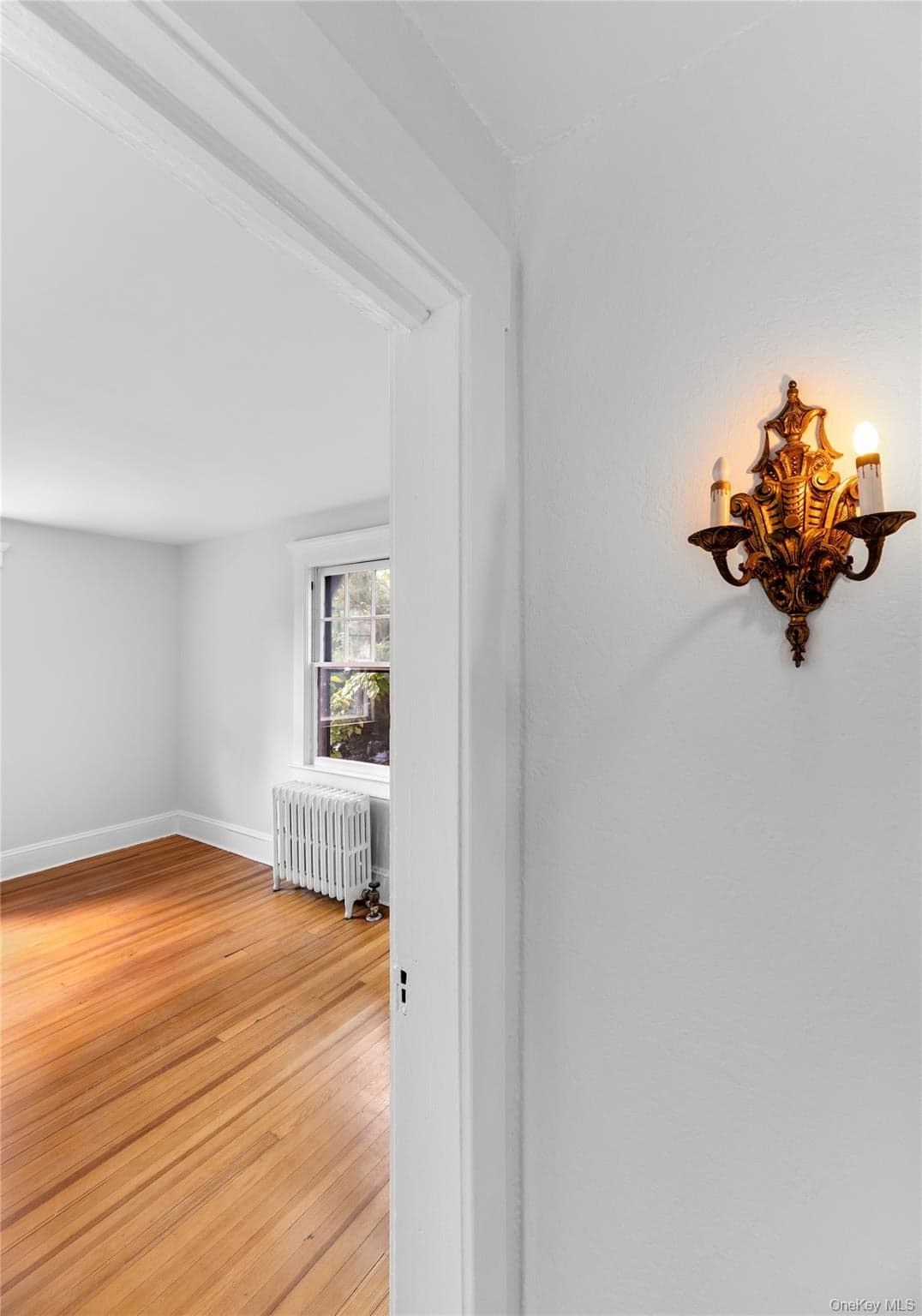 49 Elysian Avenue thumbnail 26