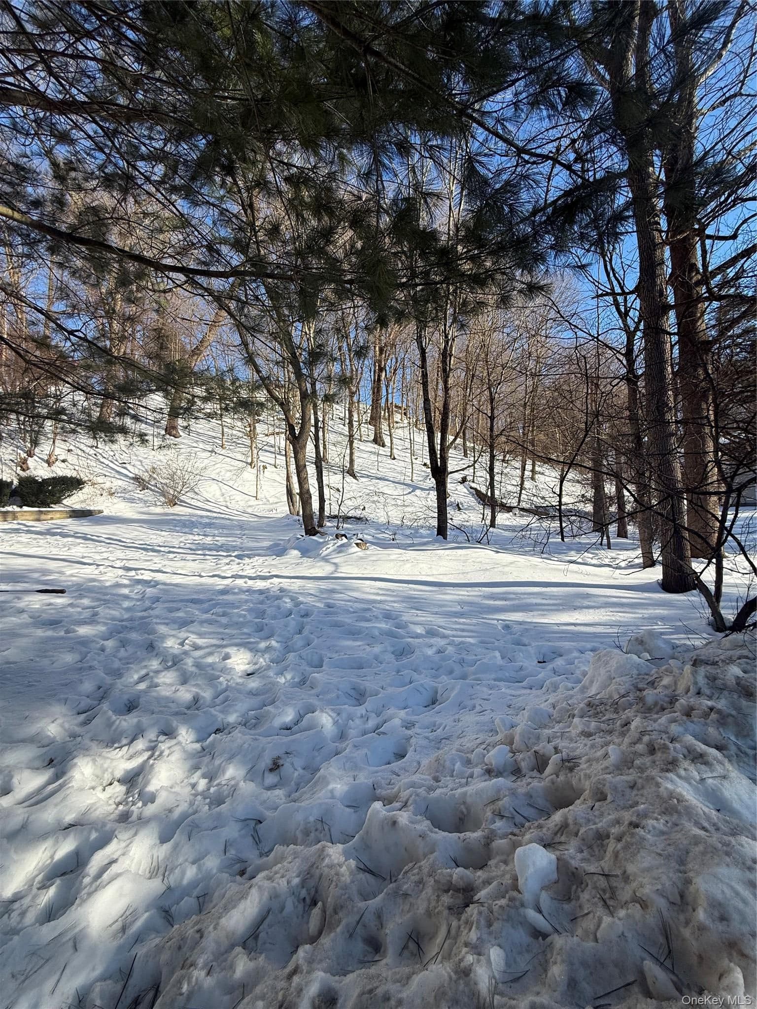 11 Abraham Gunn Memorial Drive thumbnail 2