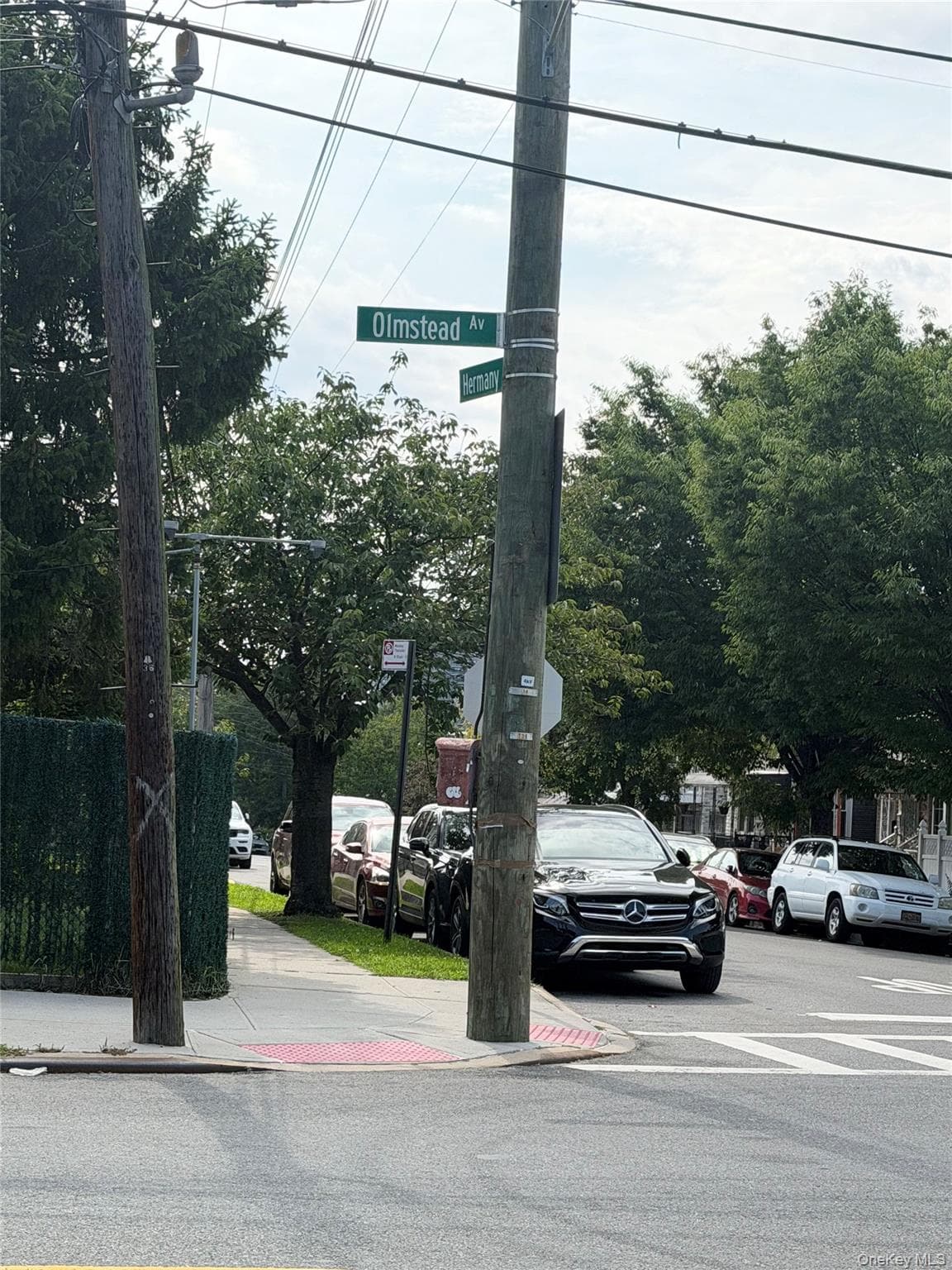 846 Olmstead Avenue thumbnail 3