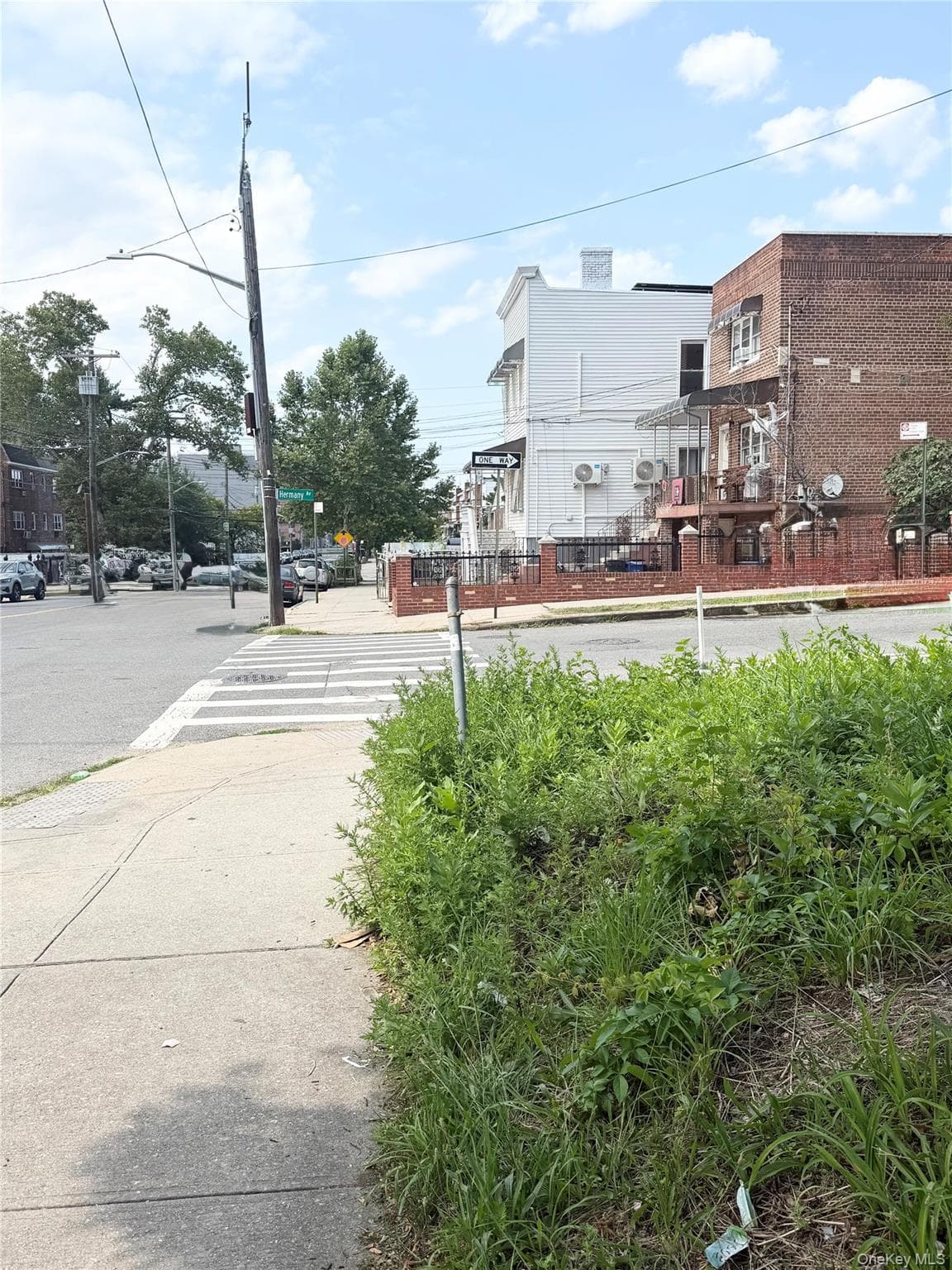 846 Olmstead Avenue thumbnail 2